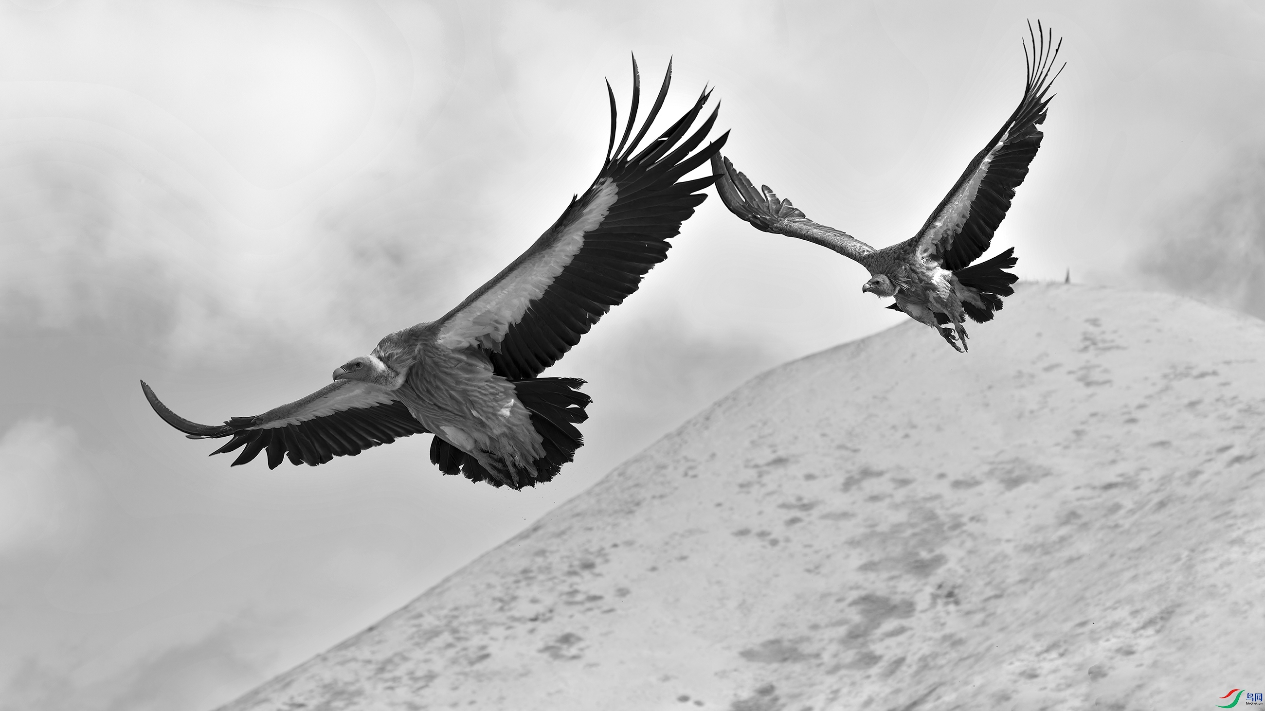 DSC_5614_DxO.jpg