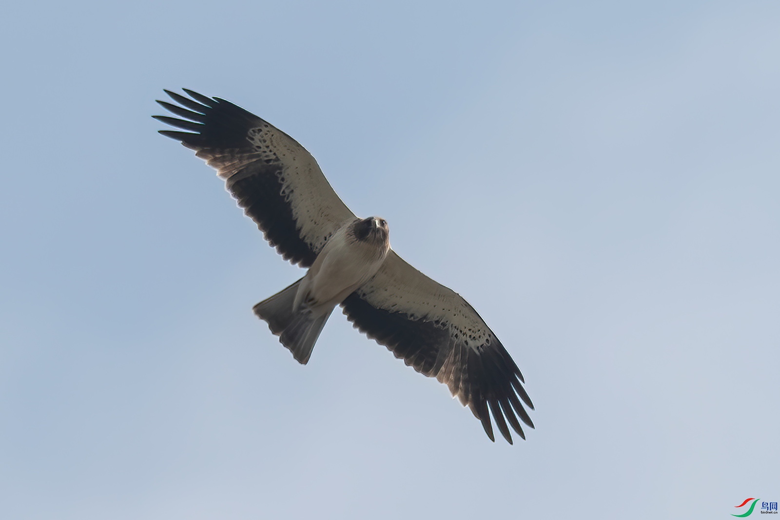 DSC_3264-�׸�����.jpg