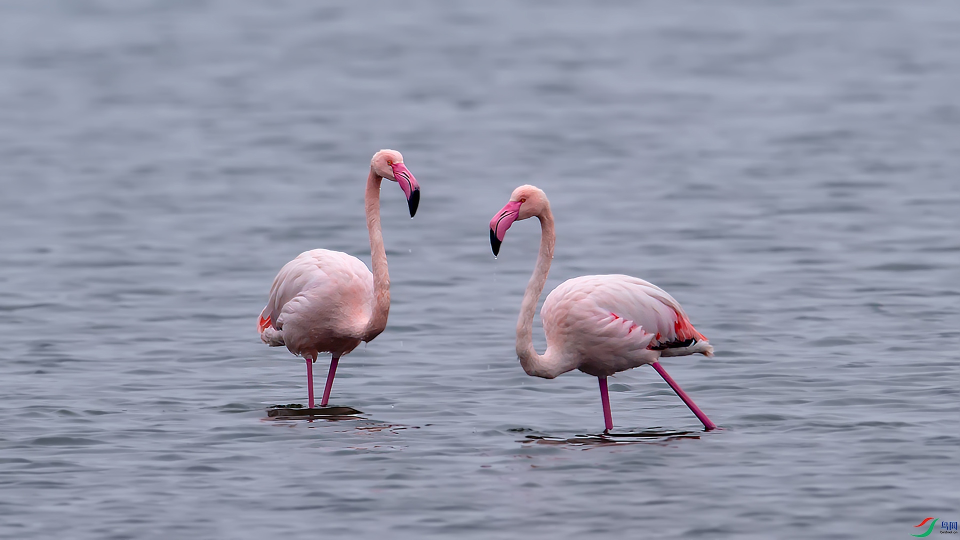 DSC_1668.jpg