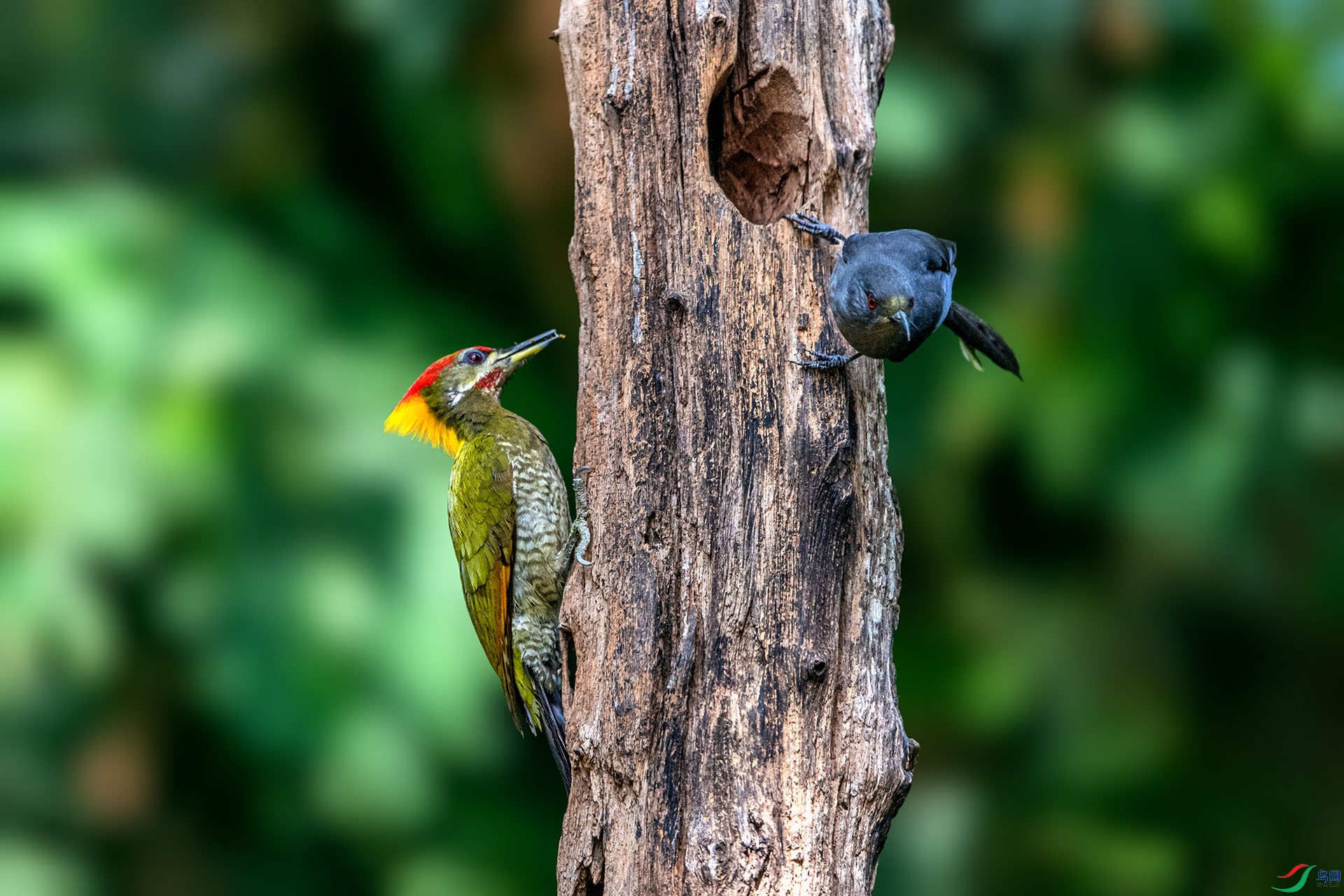 _AUU6433���ڶ���(24.2.20).jpg