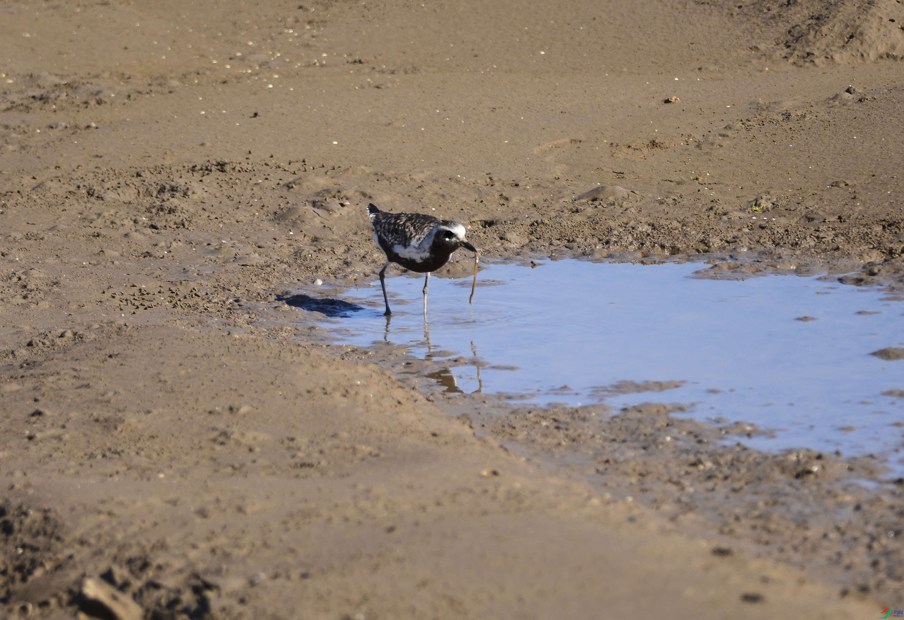 DSC_2728.jpg