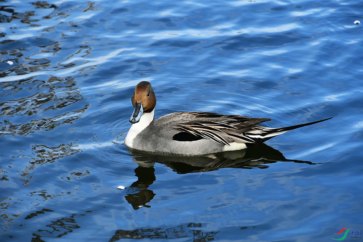 DSC_9822.JPG