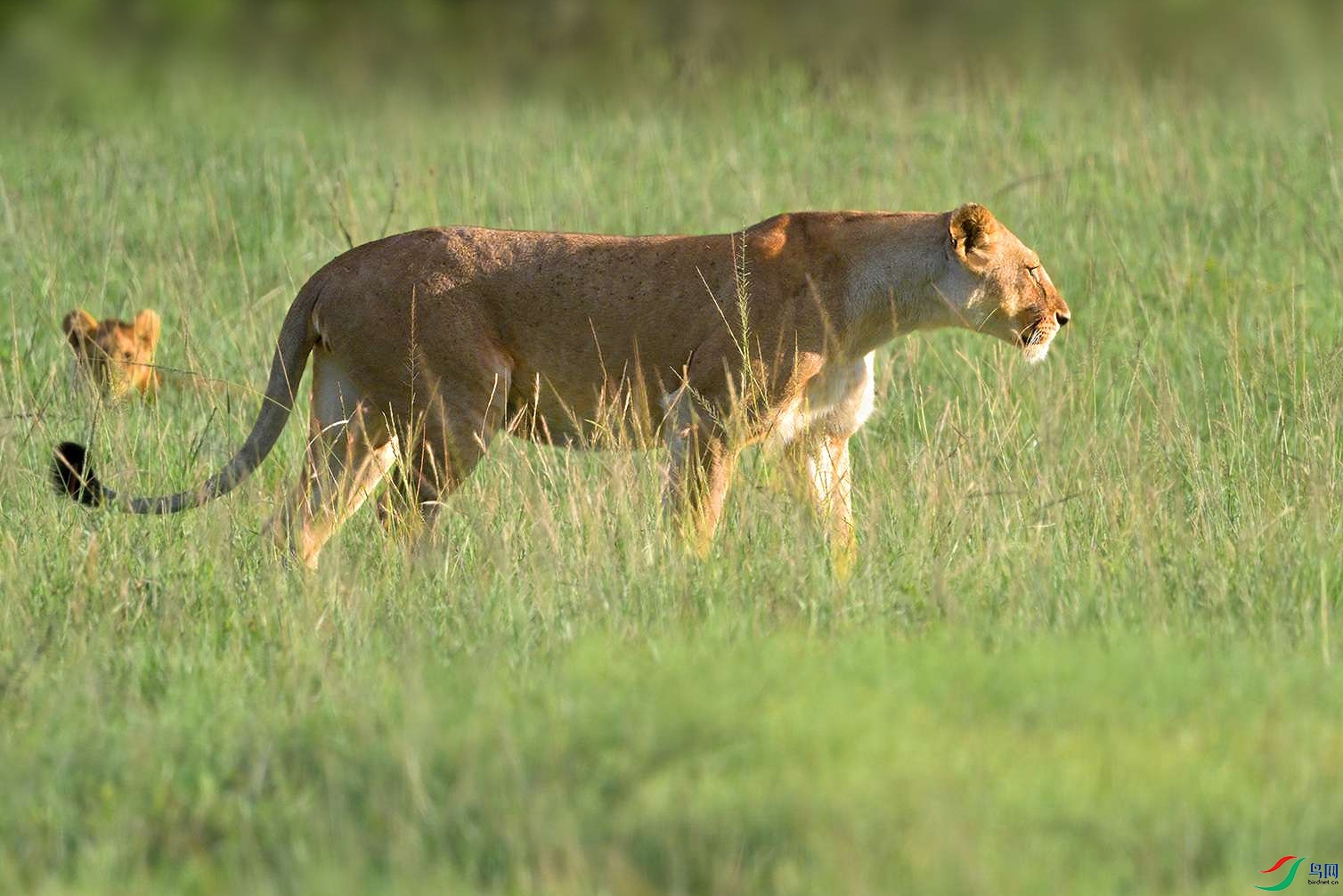 DSC_3469_ - ����.jpg