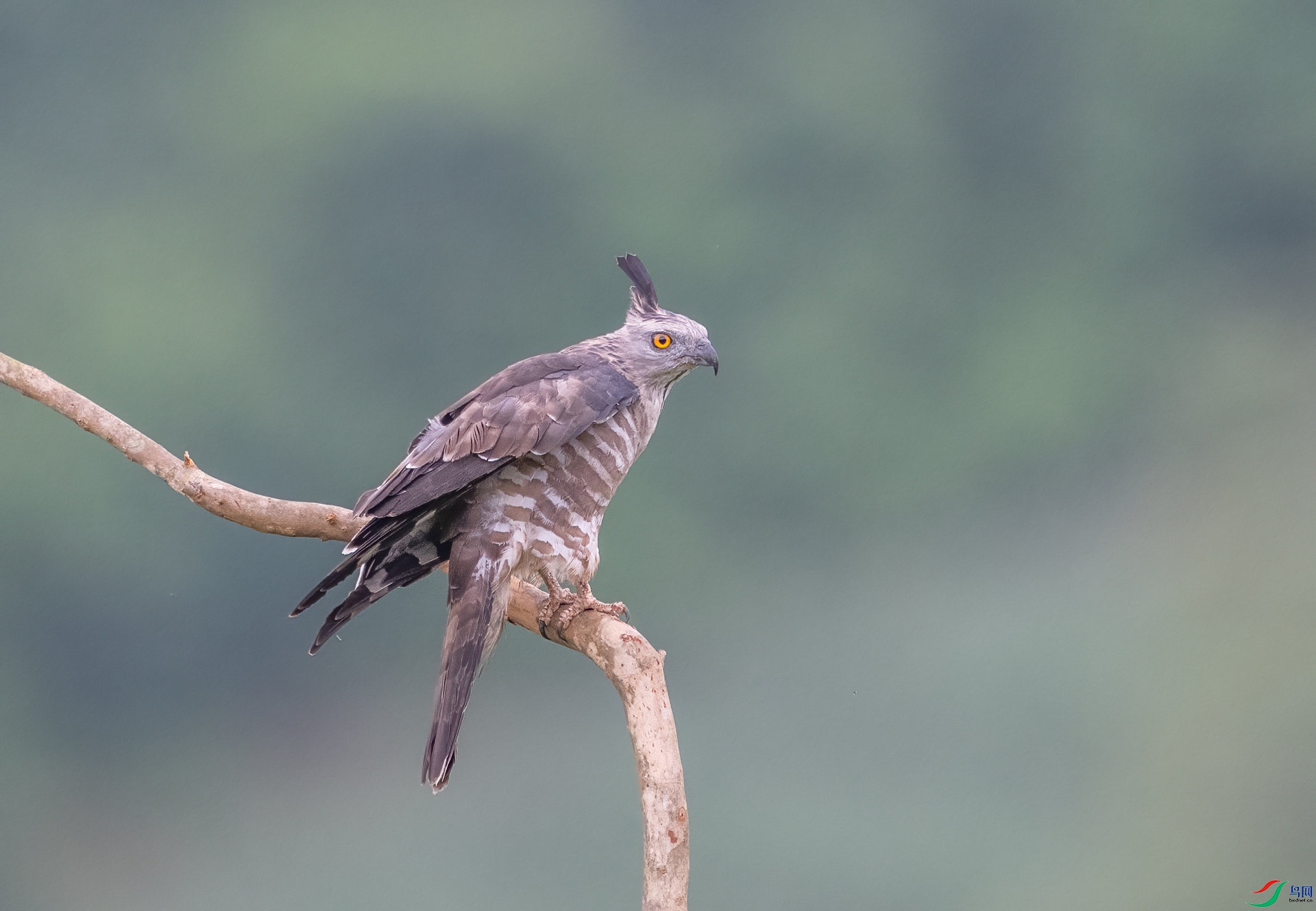 DSC_2826-1.jpg