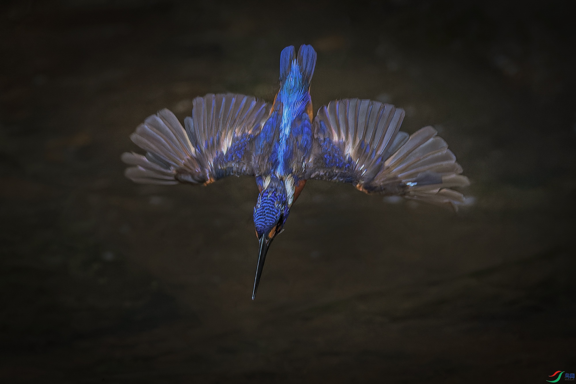 _97A2818-CR3 copy.jpg