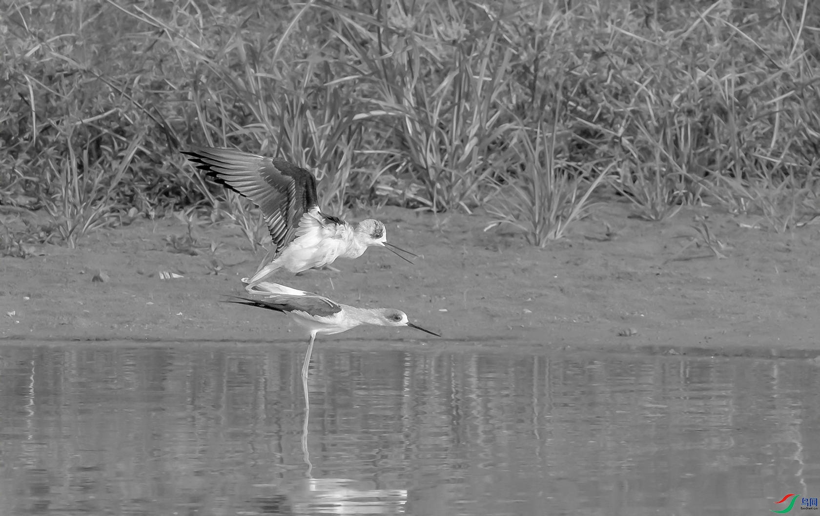 DSC_�ڳ᳤���� - ����.jpg