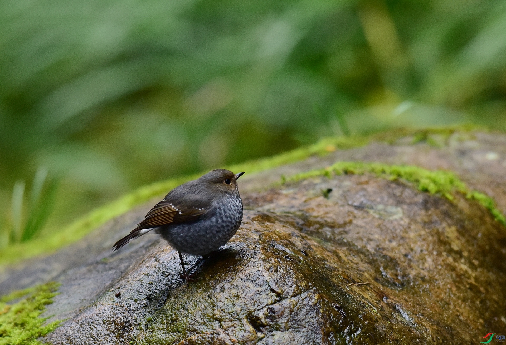 D8I_0498.jpg