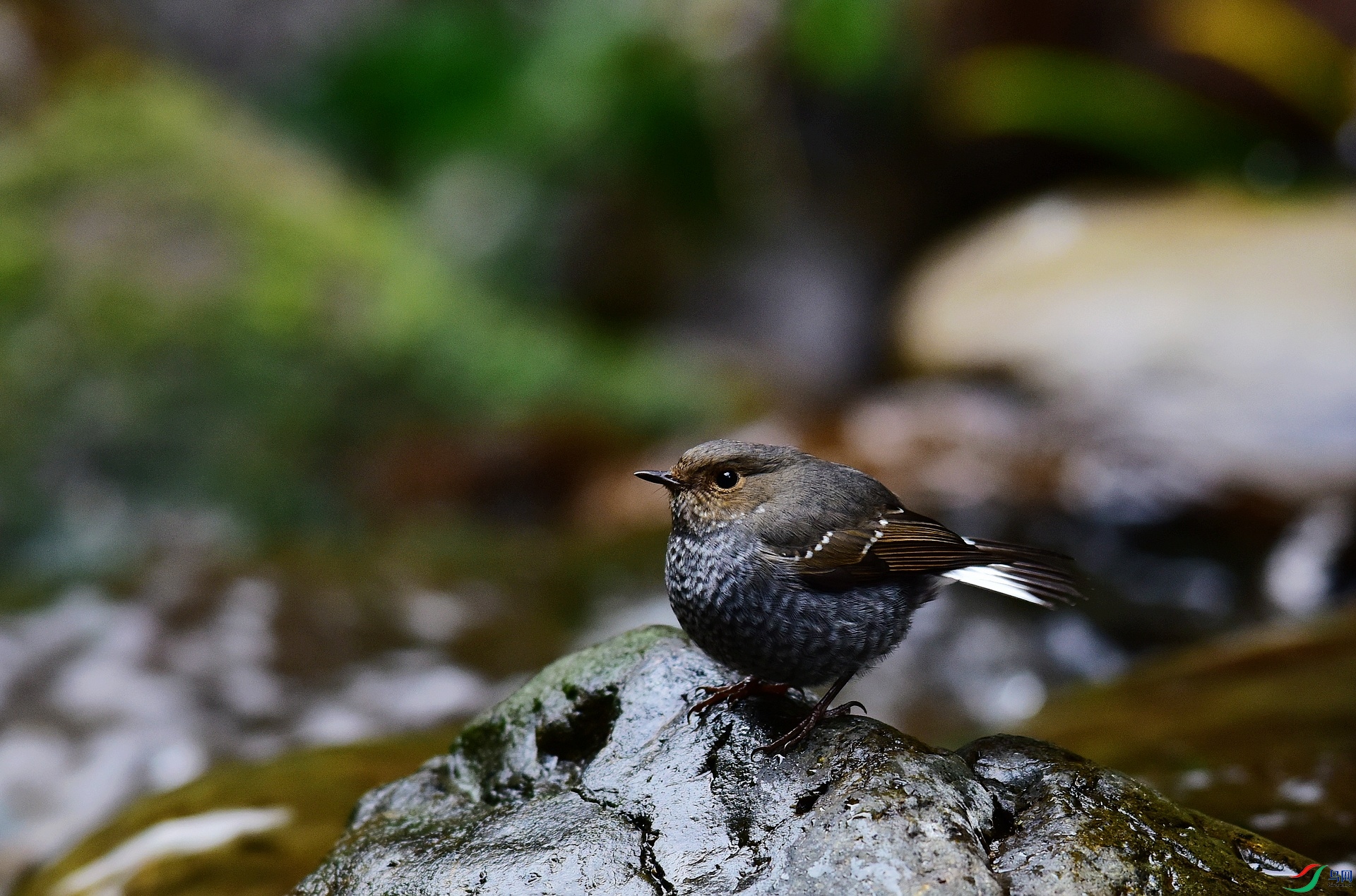 D8I_0503.jpg