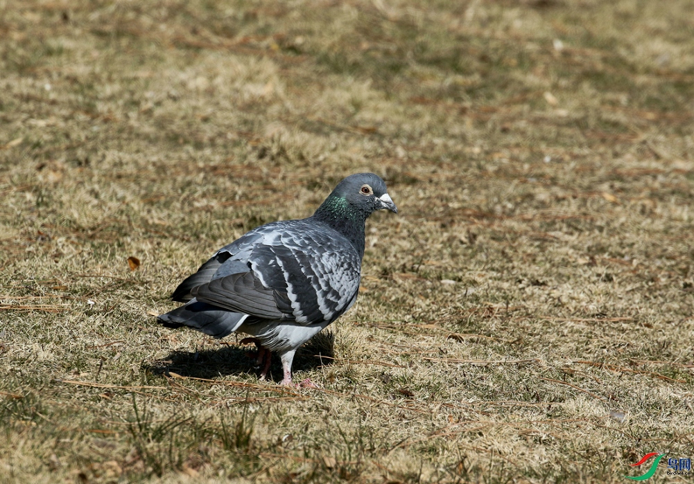 DSC20241214037.jpg
