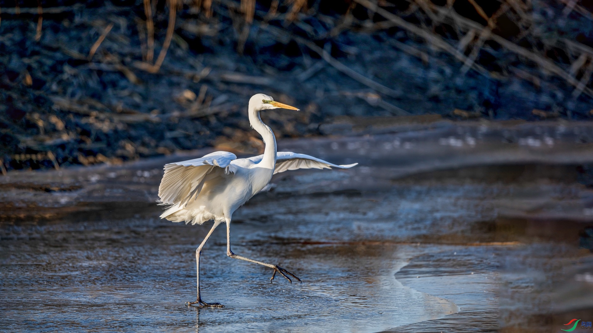 1_XXI8131-1 ����.jpeg