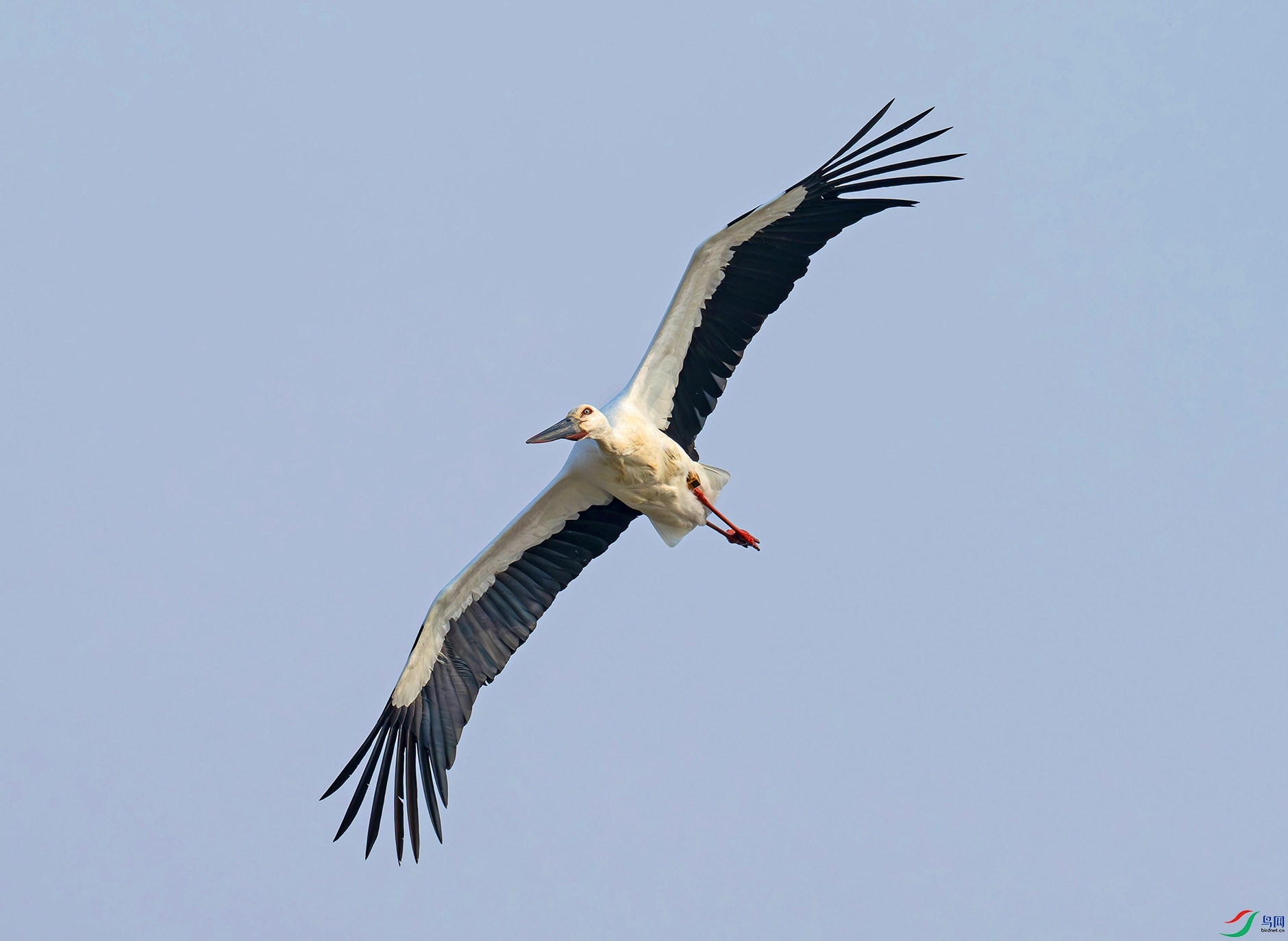 DSC_8886d2.jpg