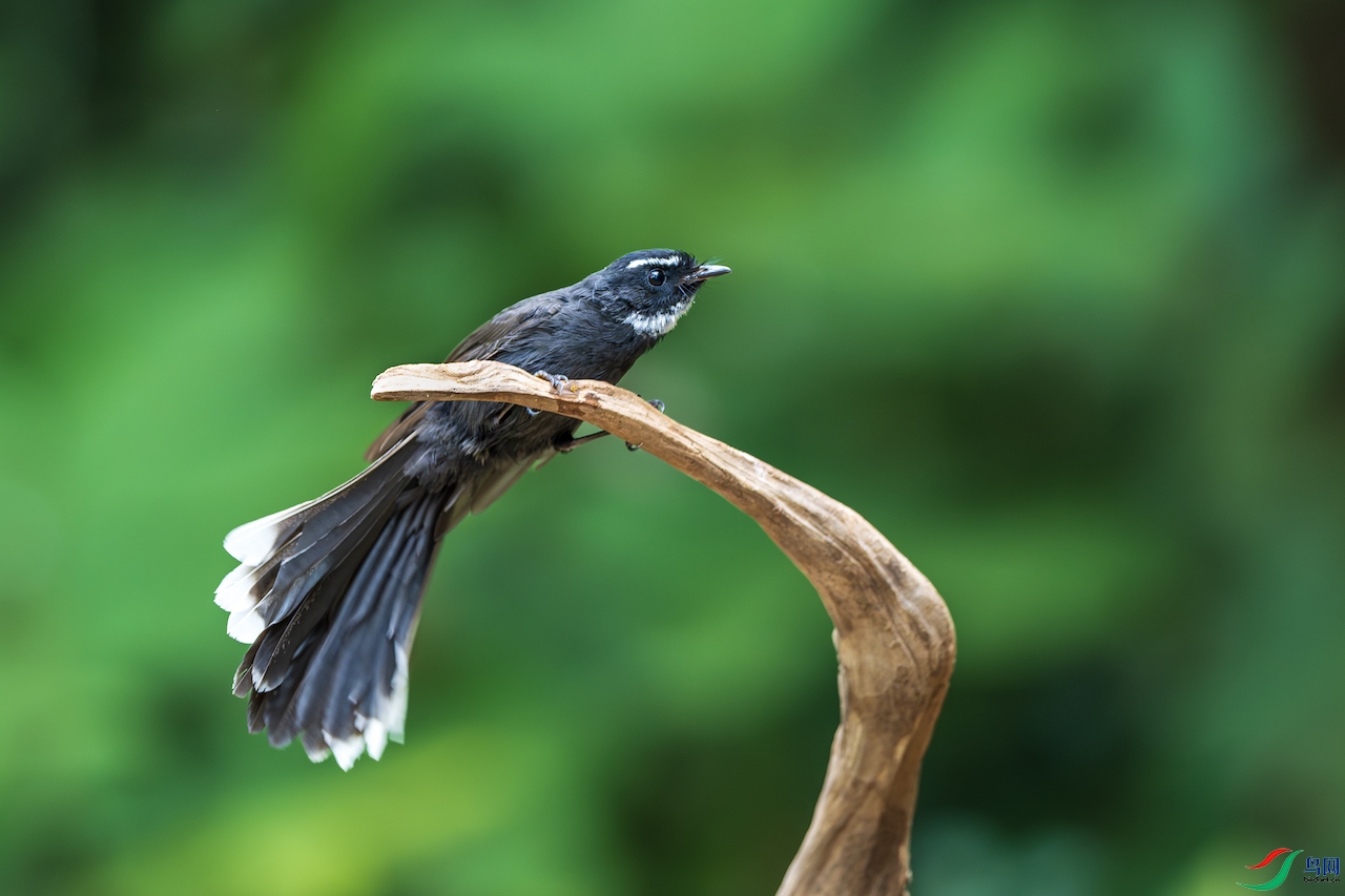 1_XXL7882-����ǿ-NR ����.jpg