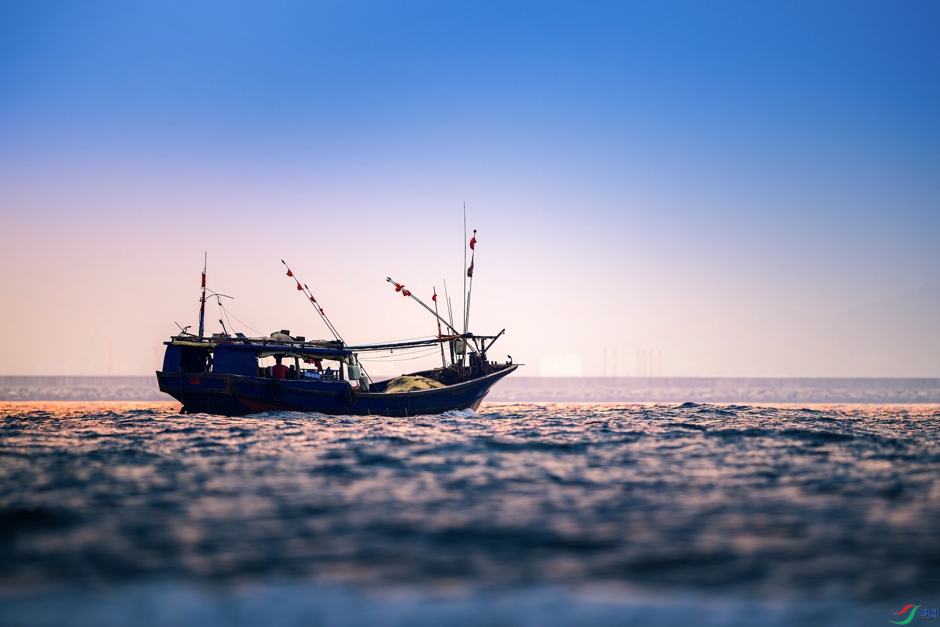 2_XXL6216-����ǿ-NR ����.jpeg