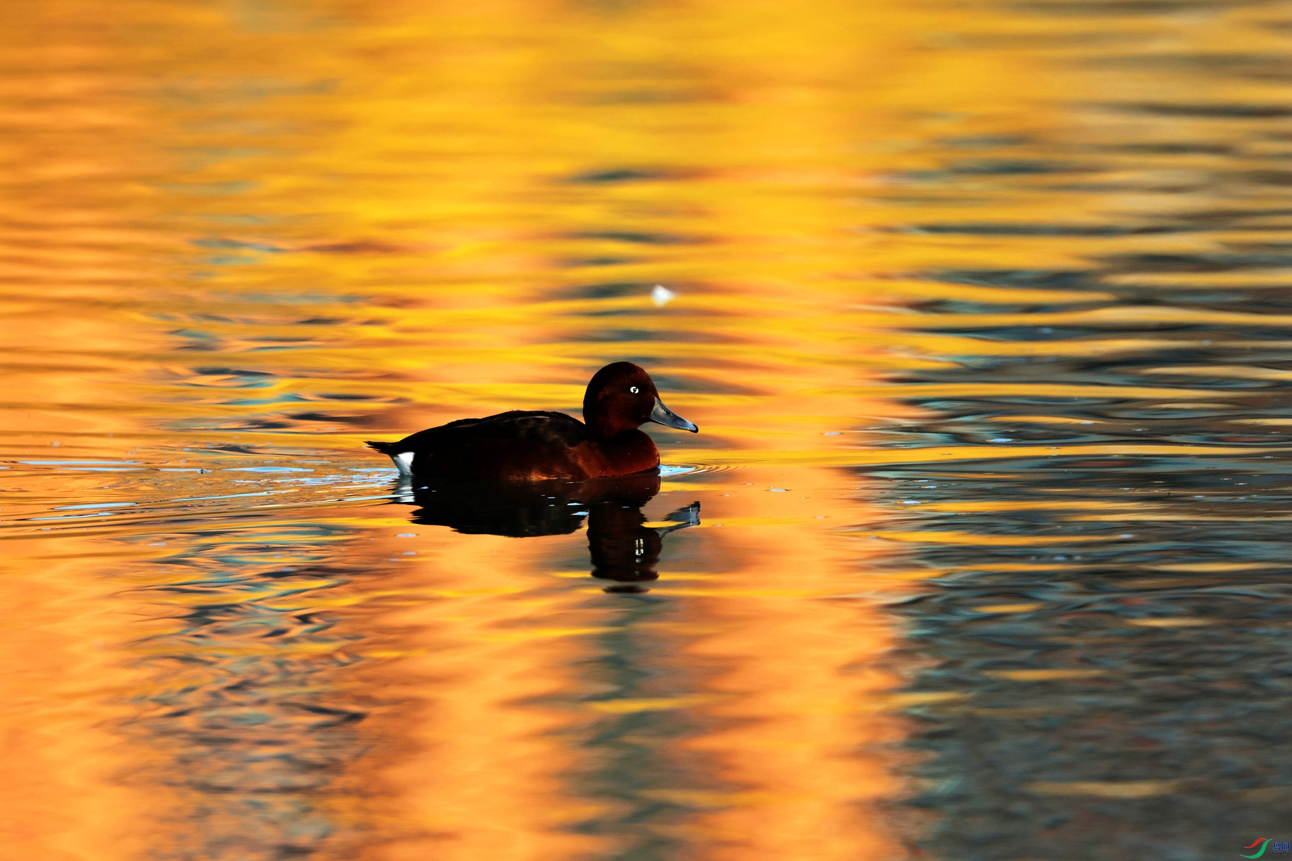 ����ǱѼ (7).JPG