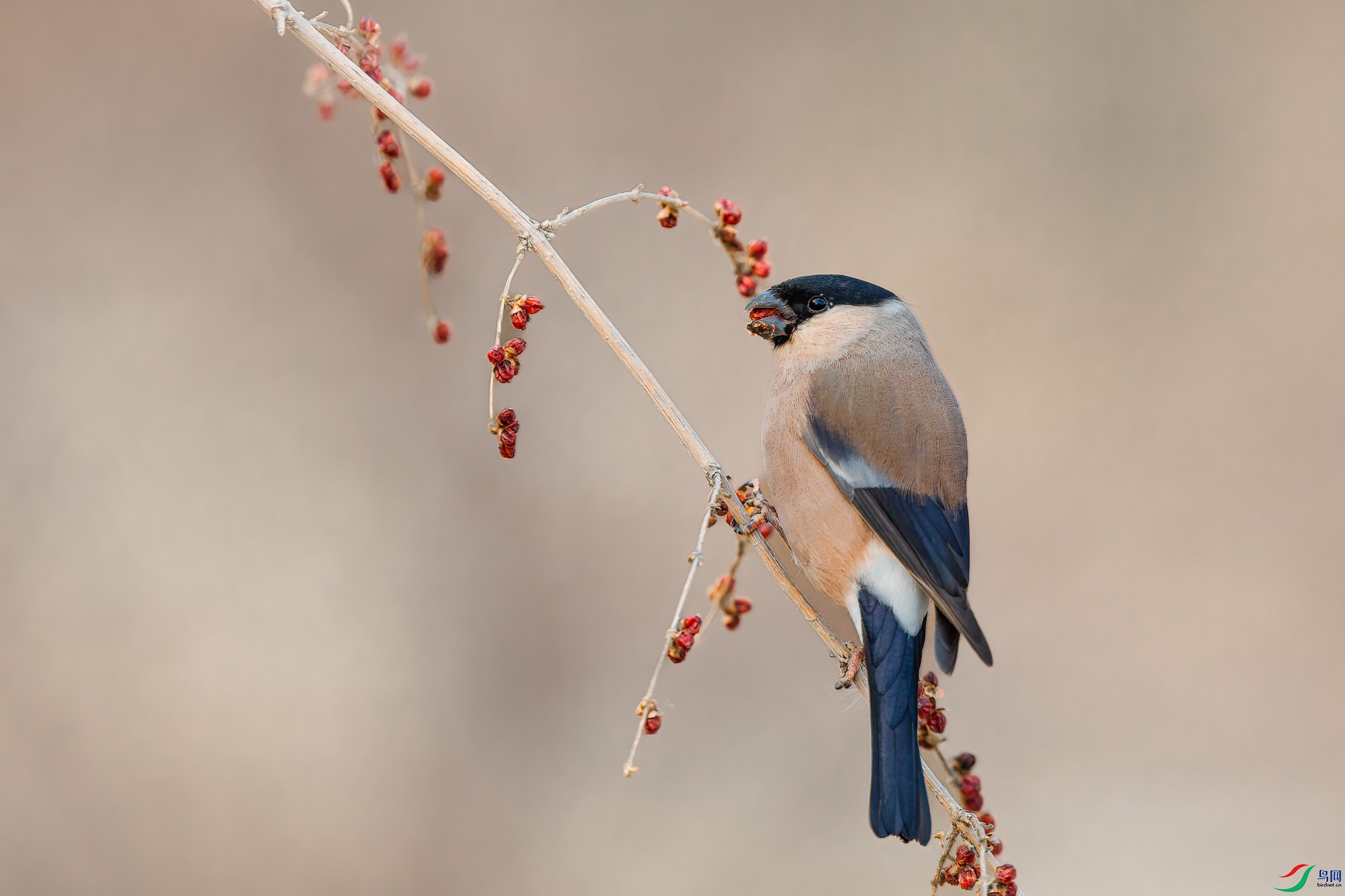 AQ4P4840-1.jpg