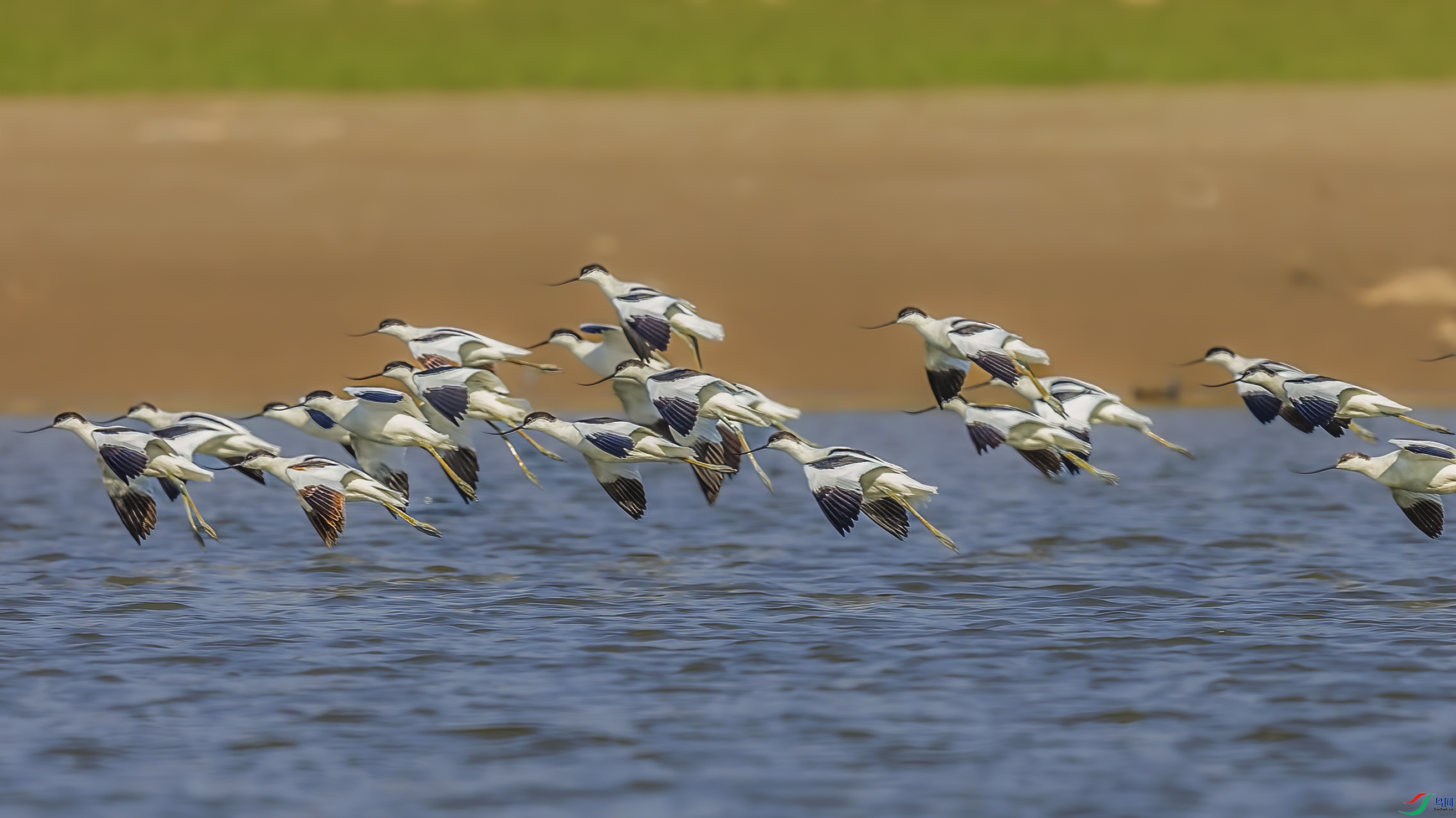 C09R7614 ����.jpg