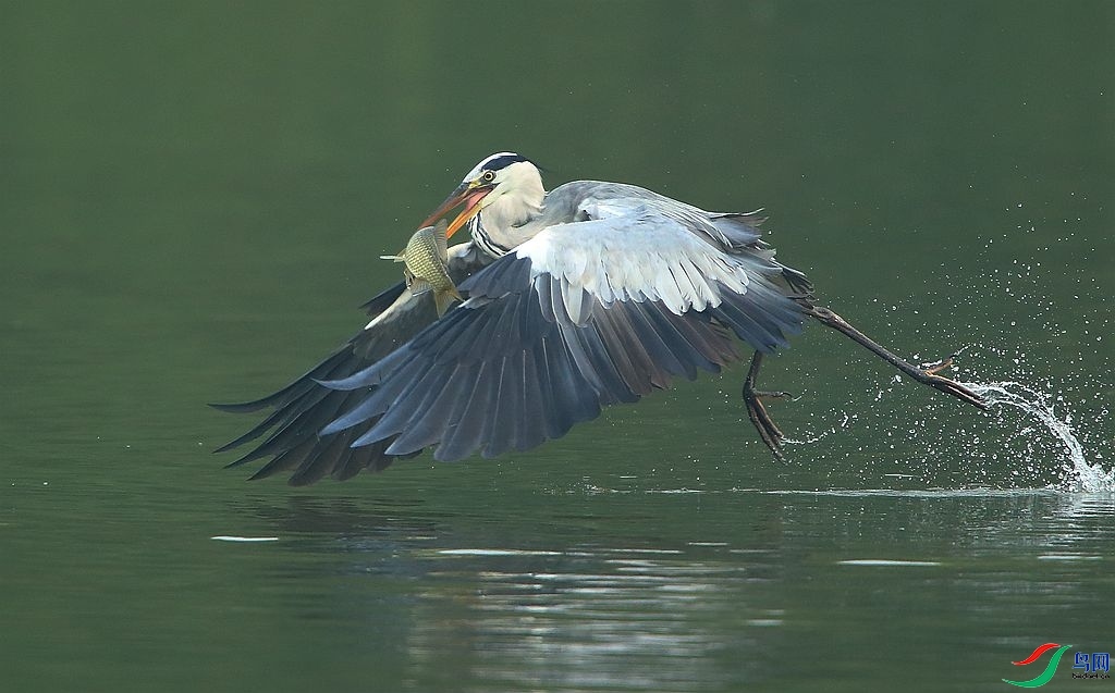 12.14����������ʦ��Ʒ   ���� ��ף���ٻ���Ӱʦ������.jpg