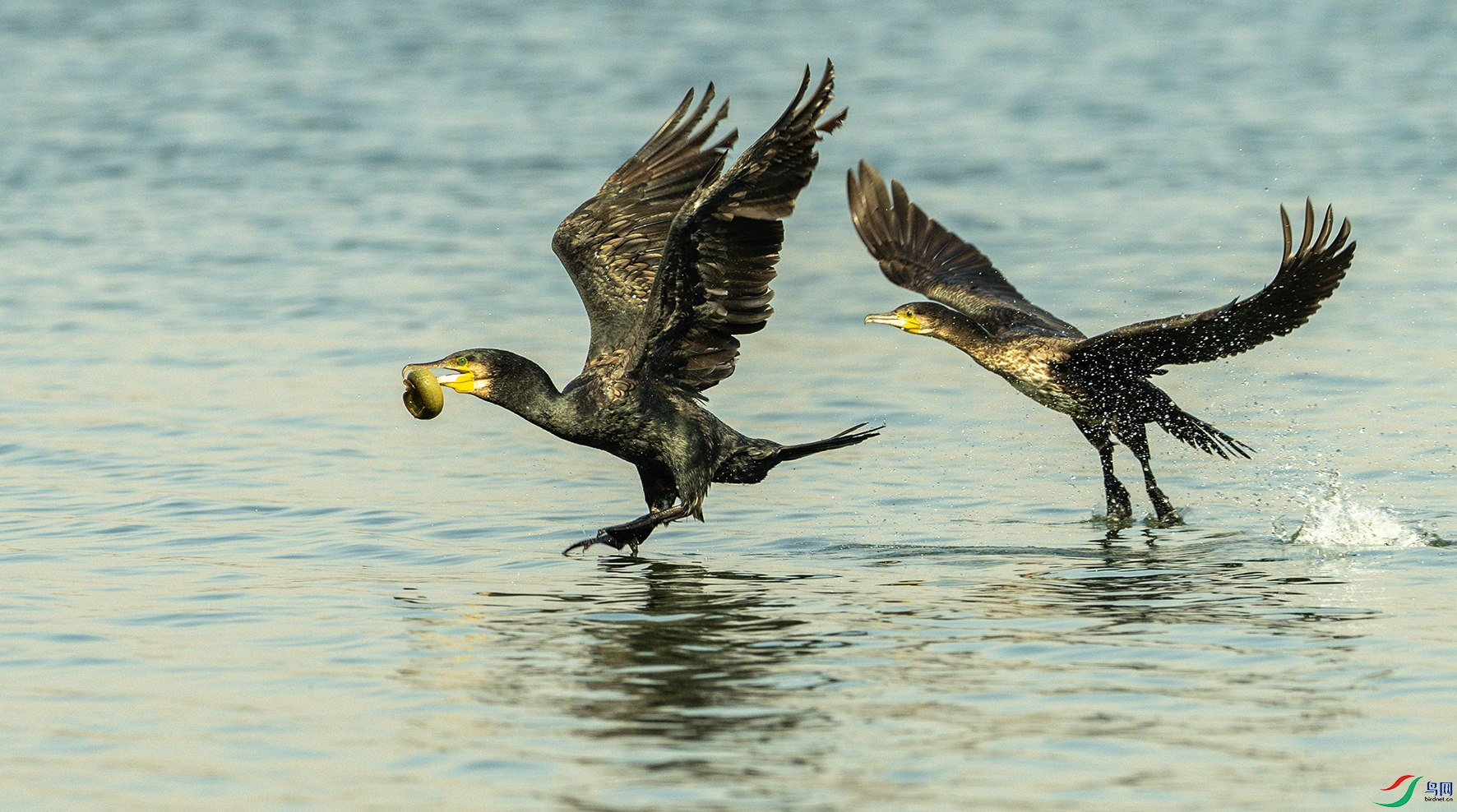 1071 ����.jpg