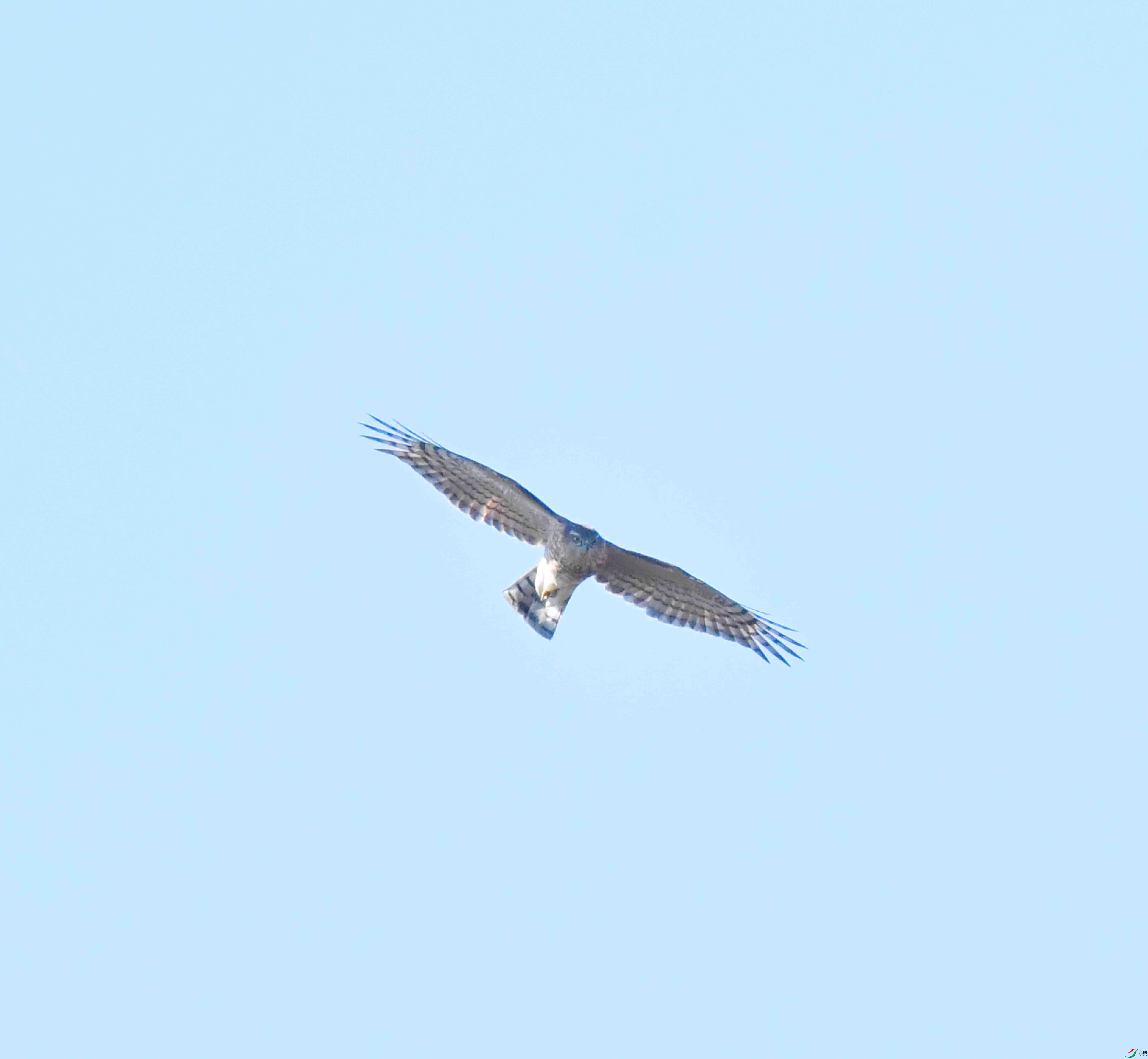 DSC_2558.JPG