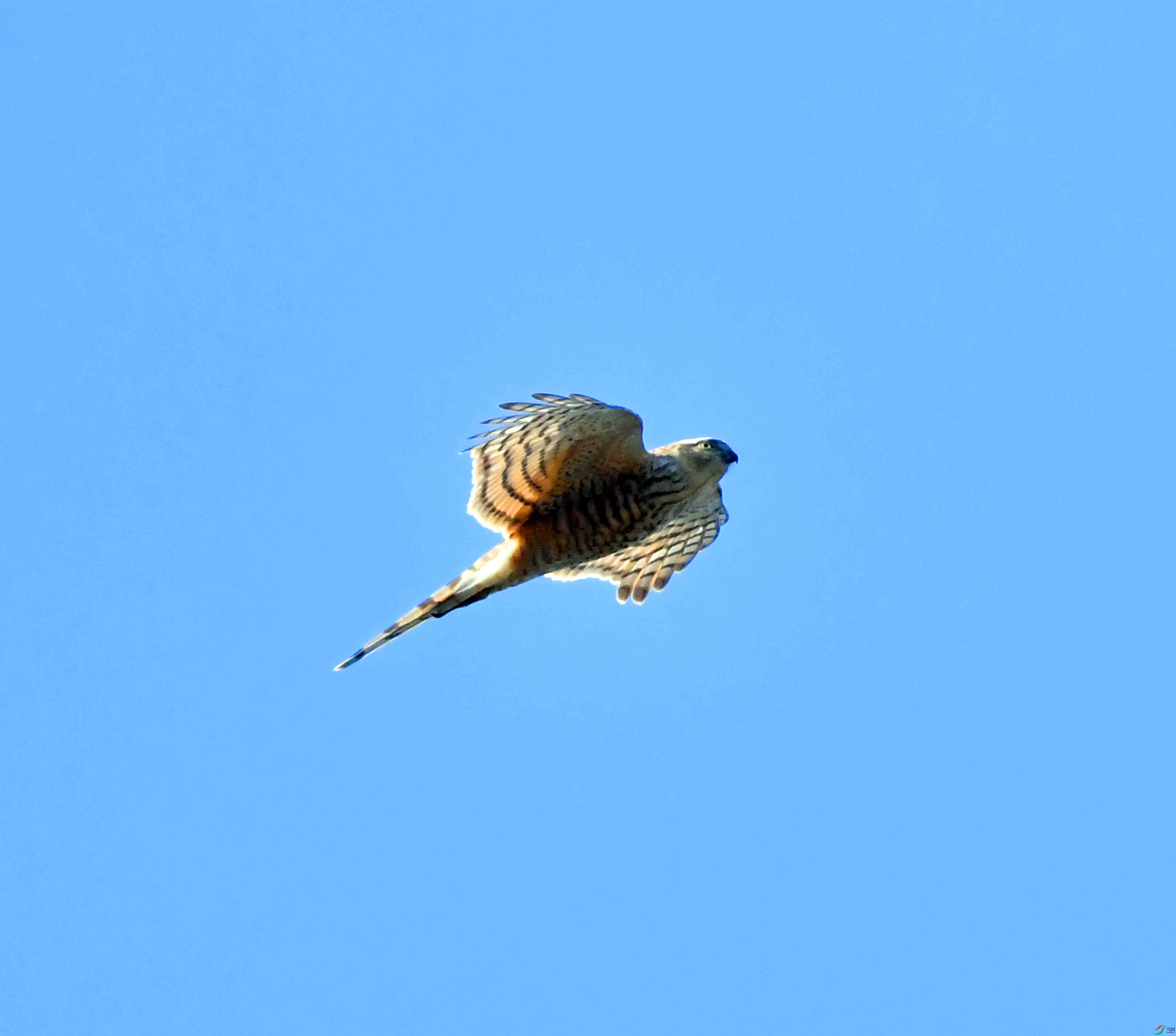 DSC_2614.JPG