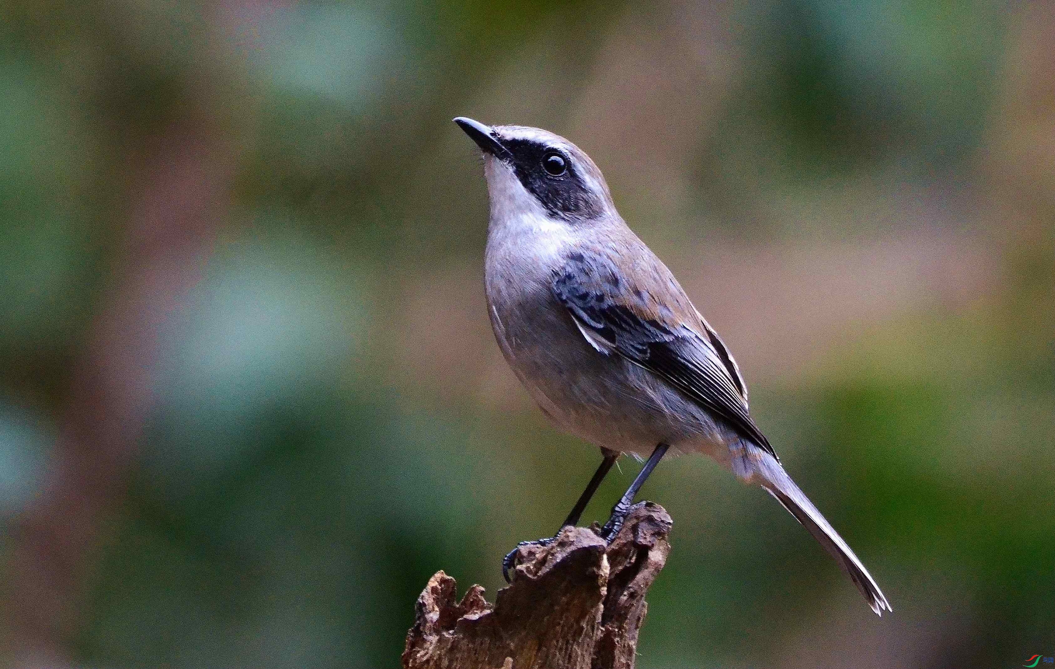 DSC_7168.JPG