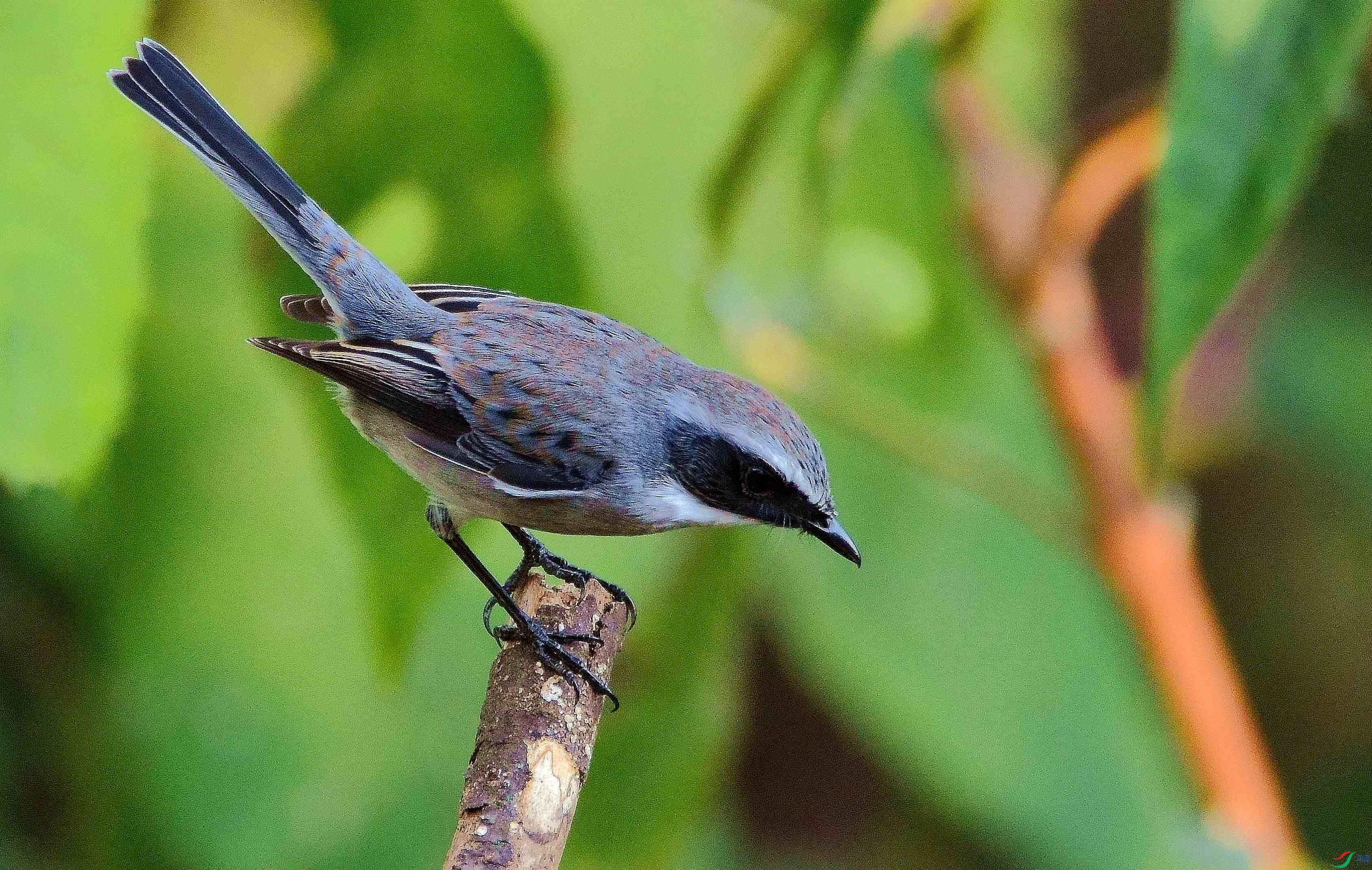 DSC_6058.JPG