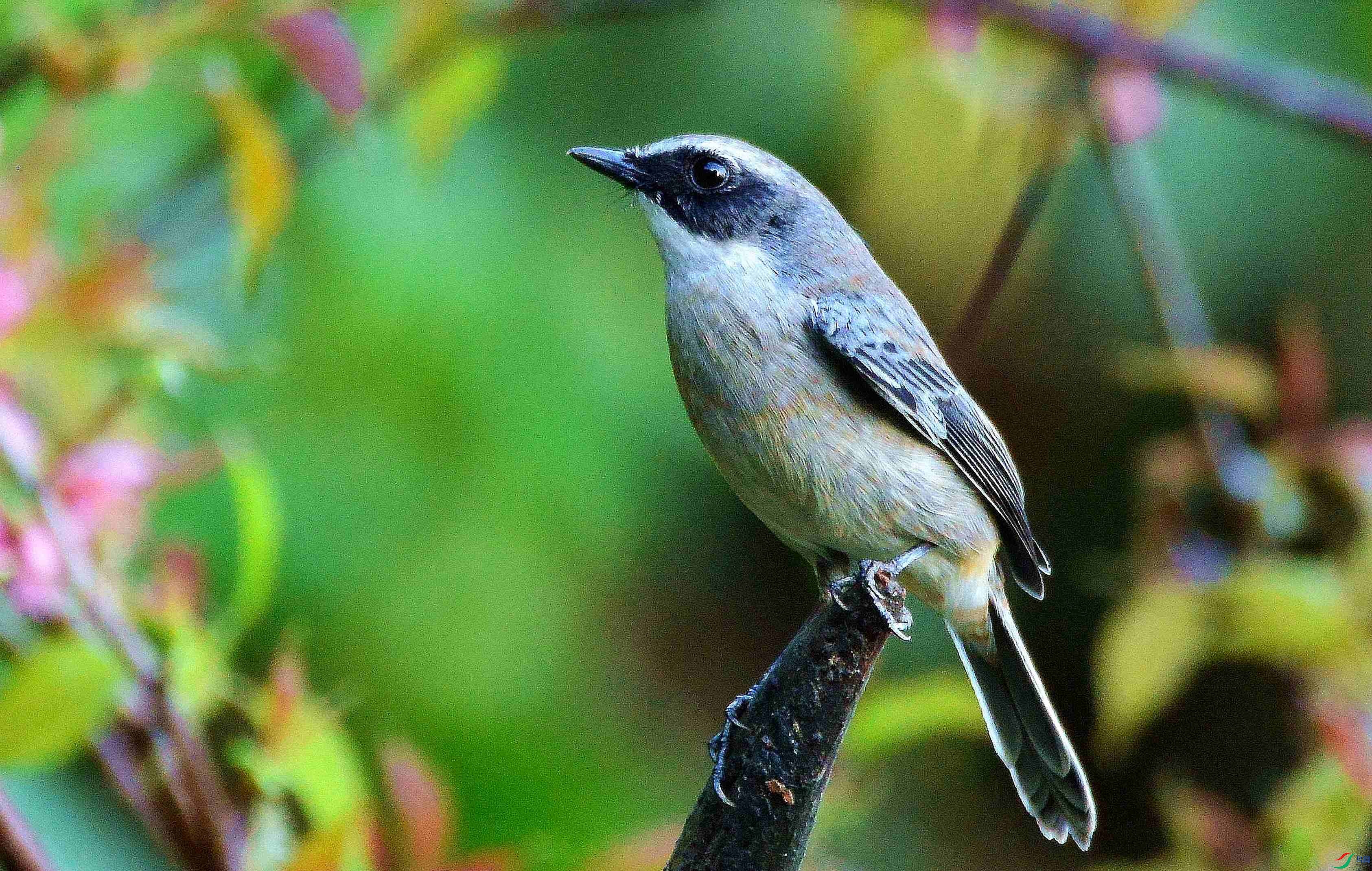 DSC_2361.JPG