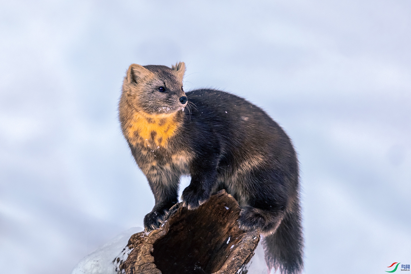 ����----�Ǹ�Զ��