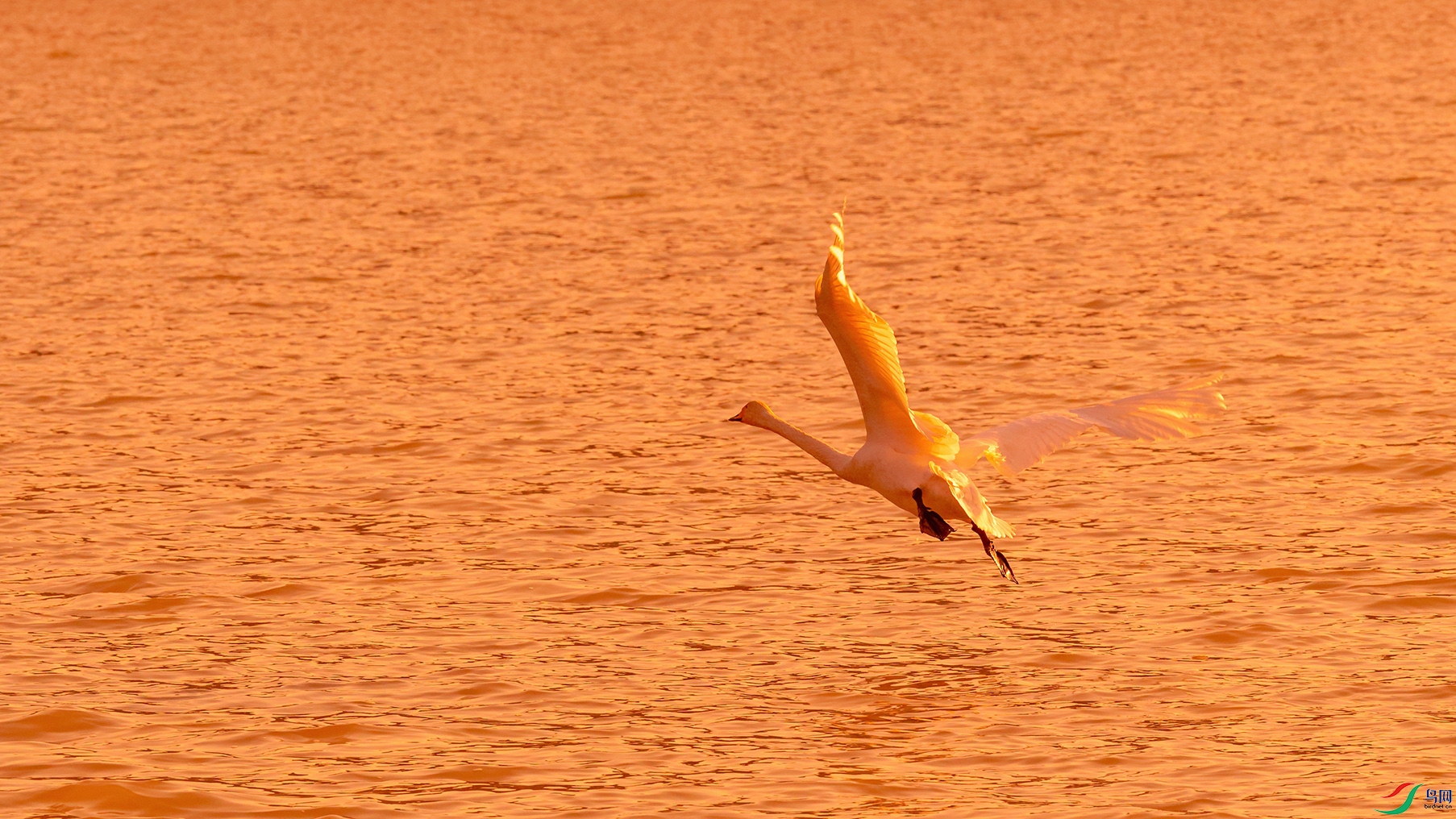 DSC_3654_DxOa.jpg