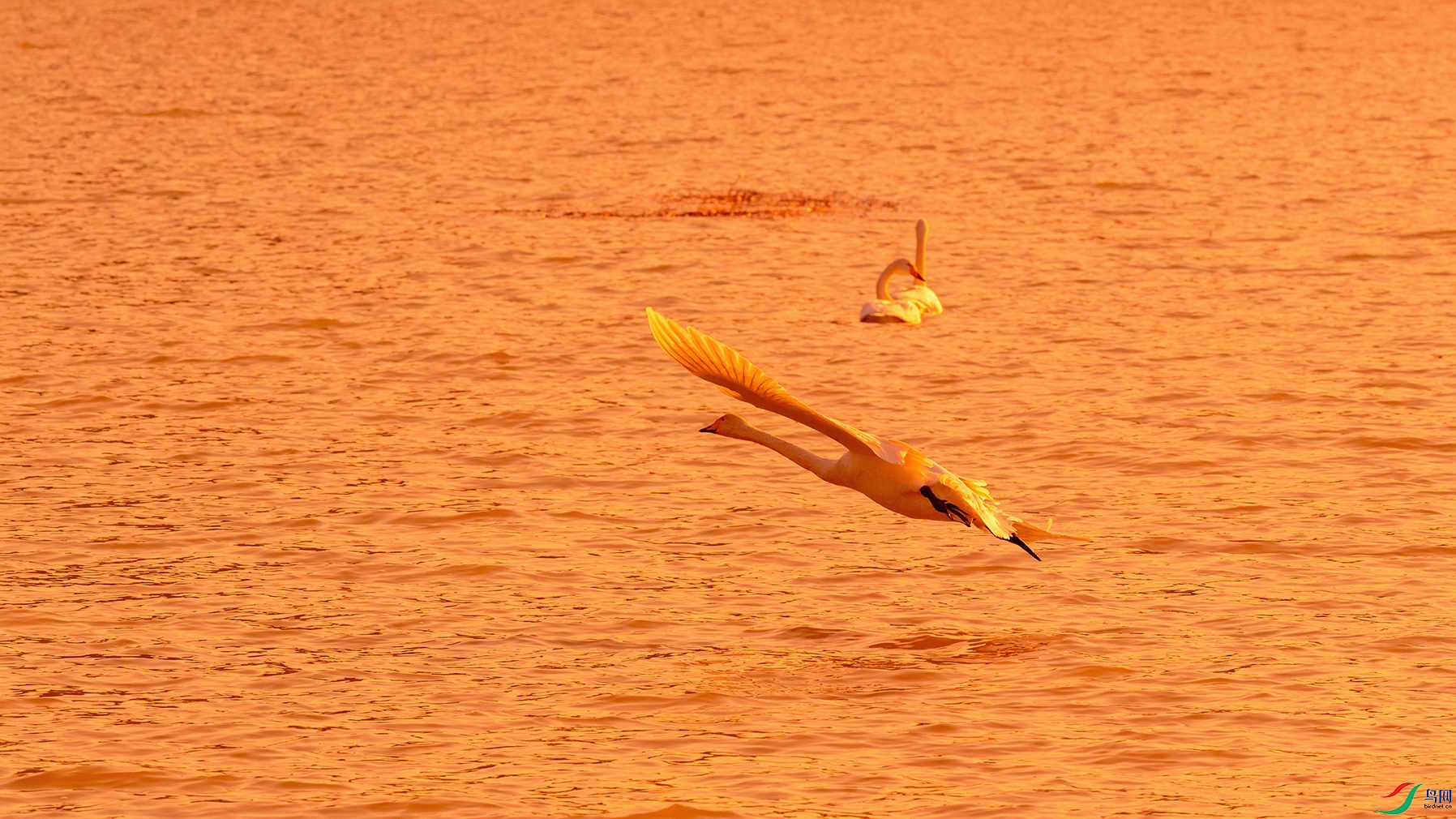 DSC_3650_DxOa.jpg