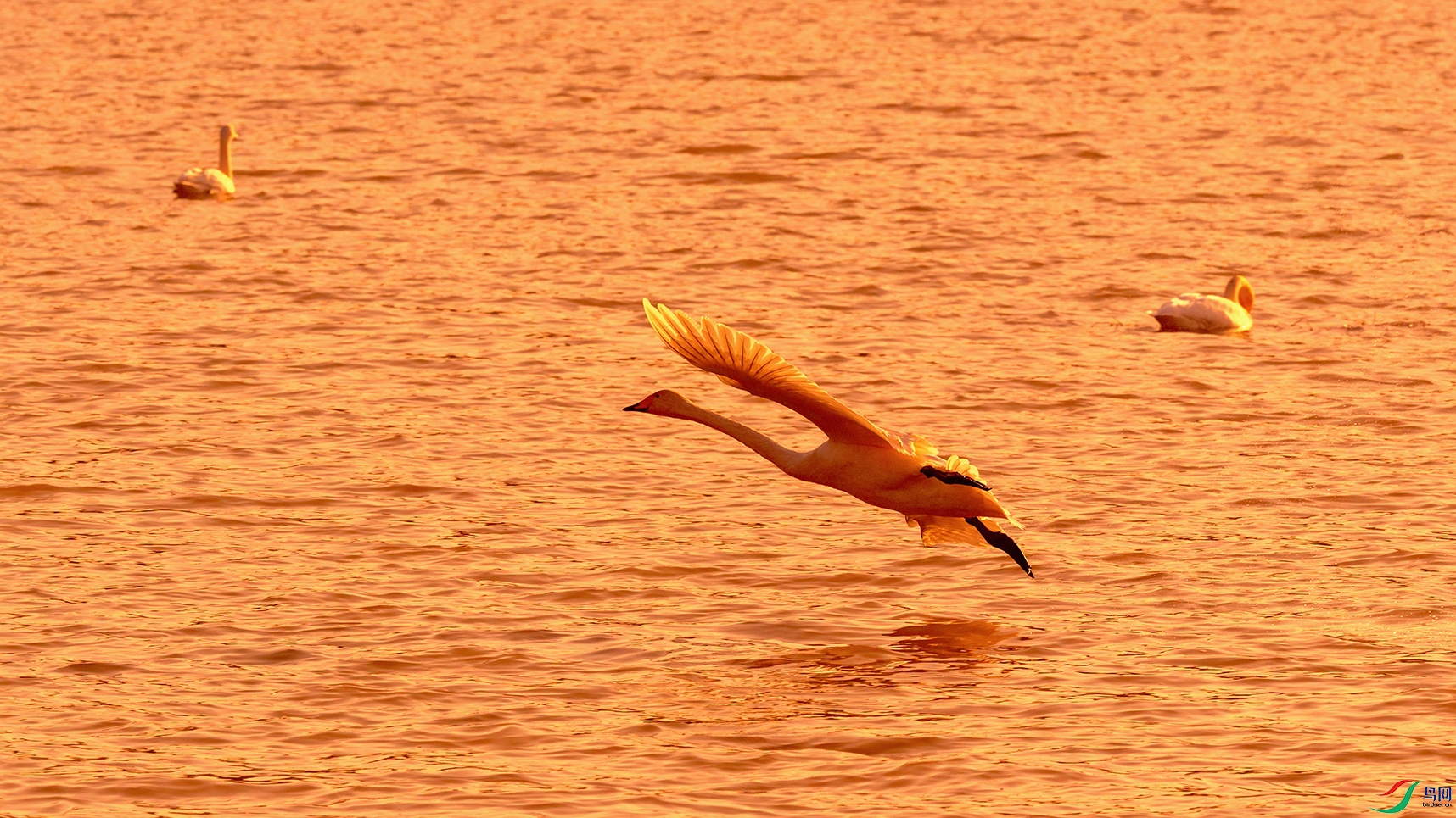 DSC_3645_DxOa.jpg