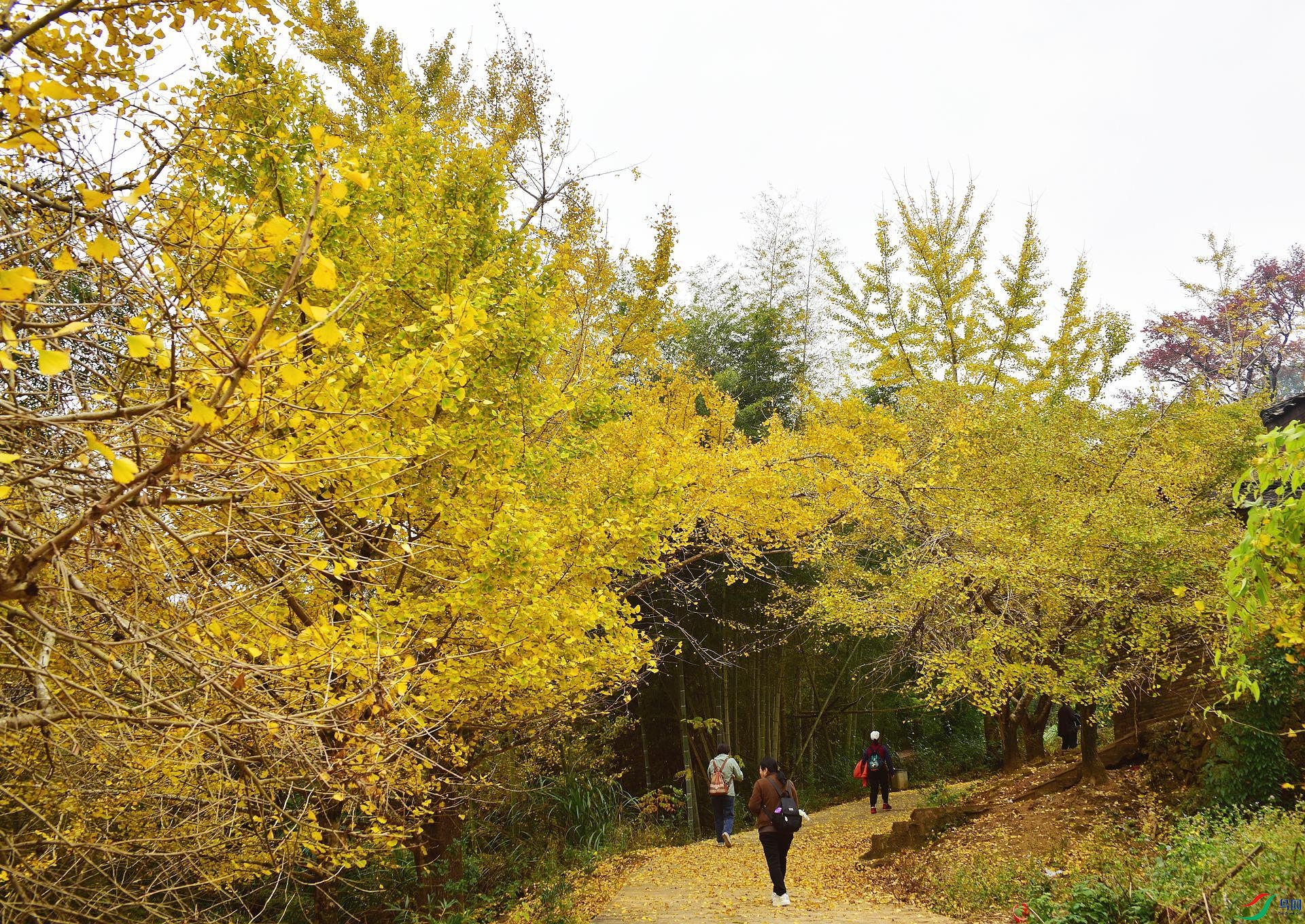 D8I_0176.jpg