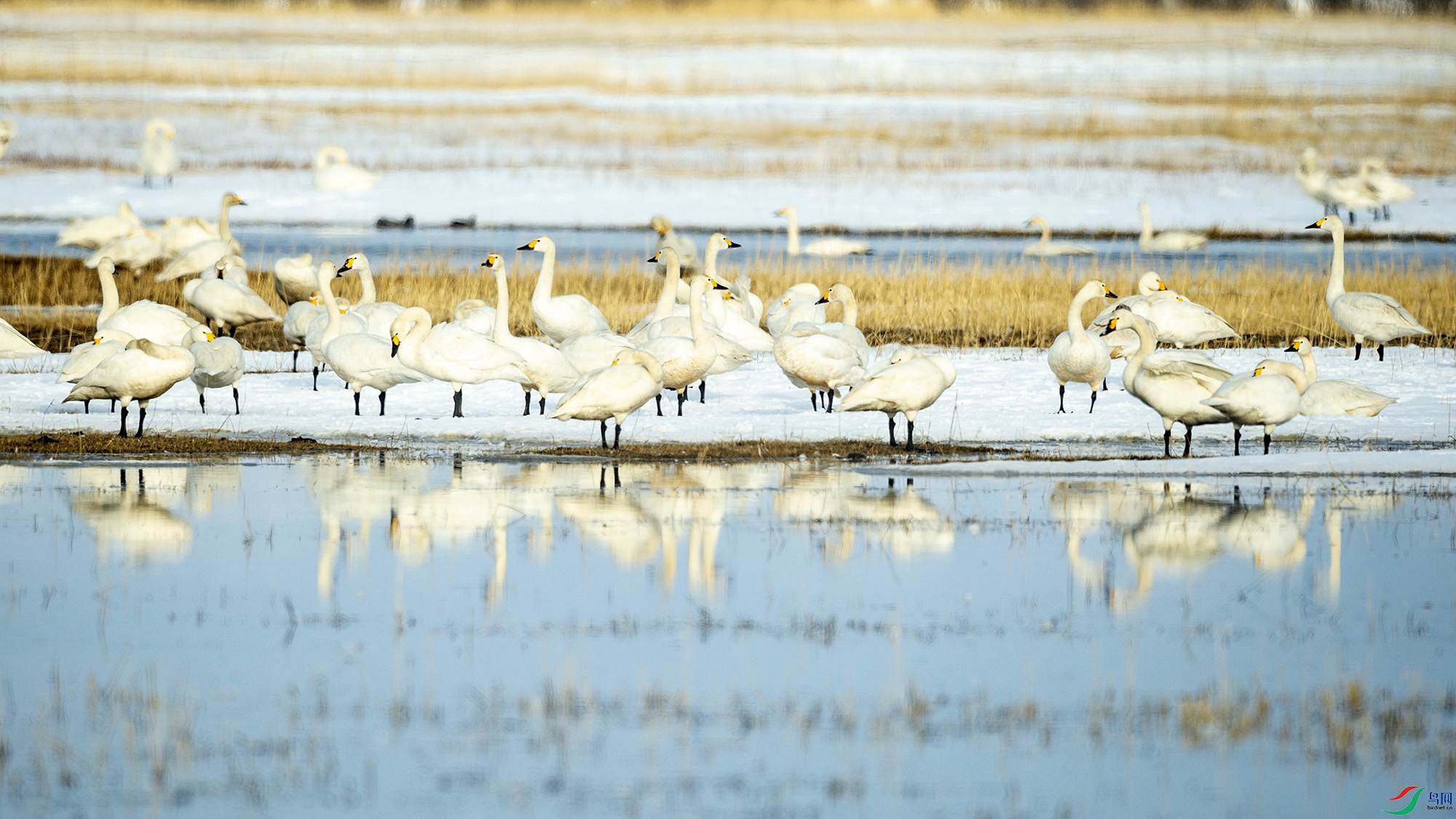 _DSC3924.jpg