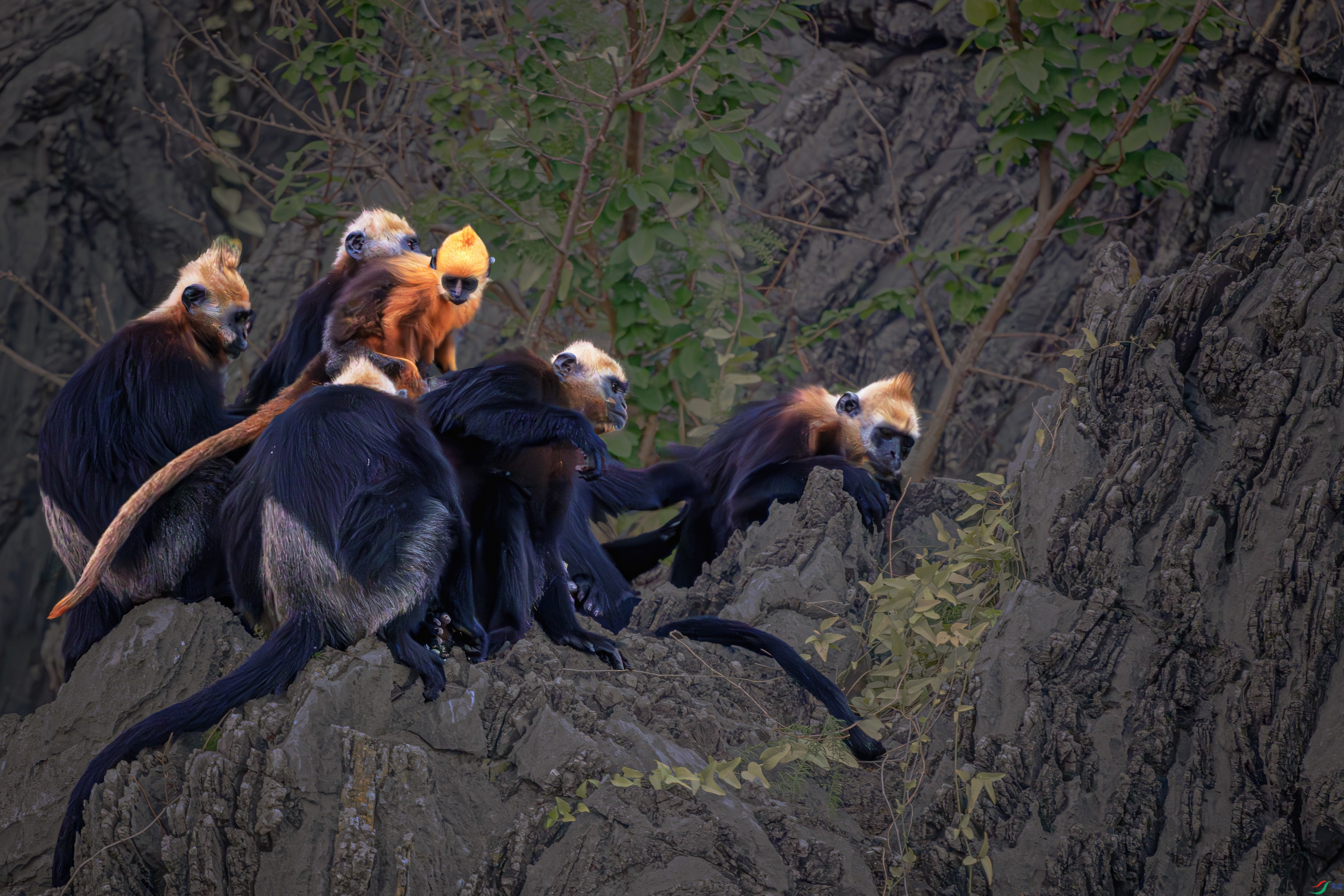 DSC_6112-����ǿ-NR ����_1.JPG