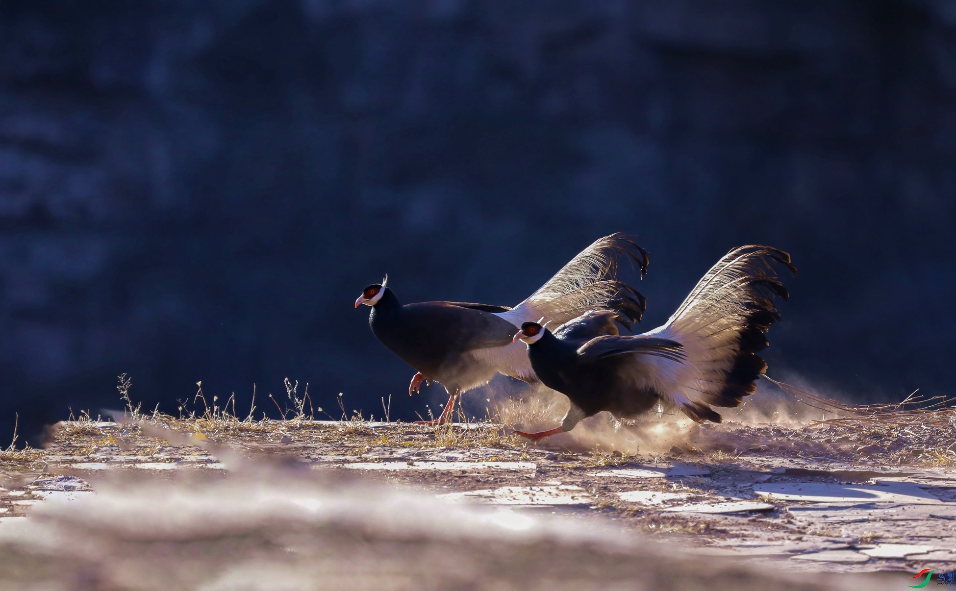 IMG_8612 a_����.jpg