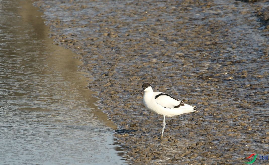 DSC20241215050.jpg