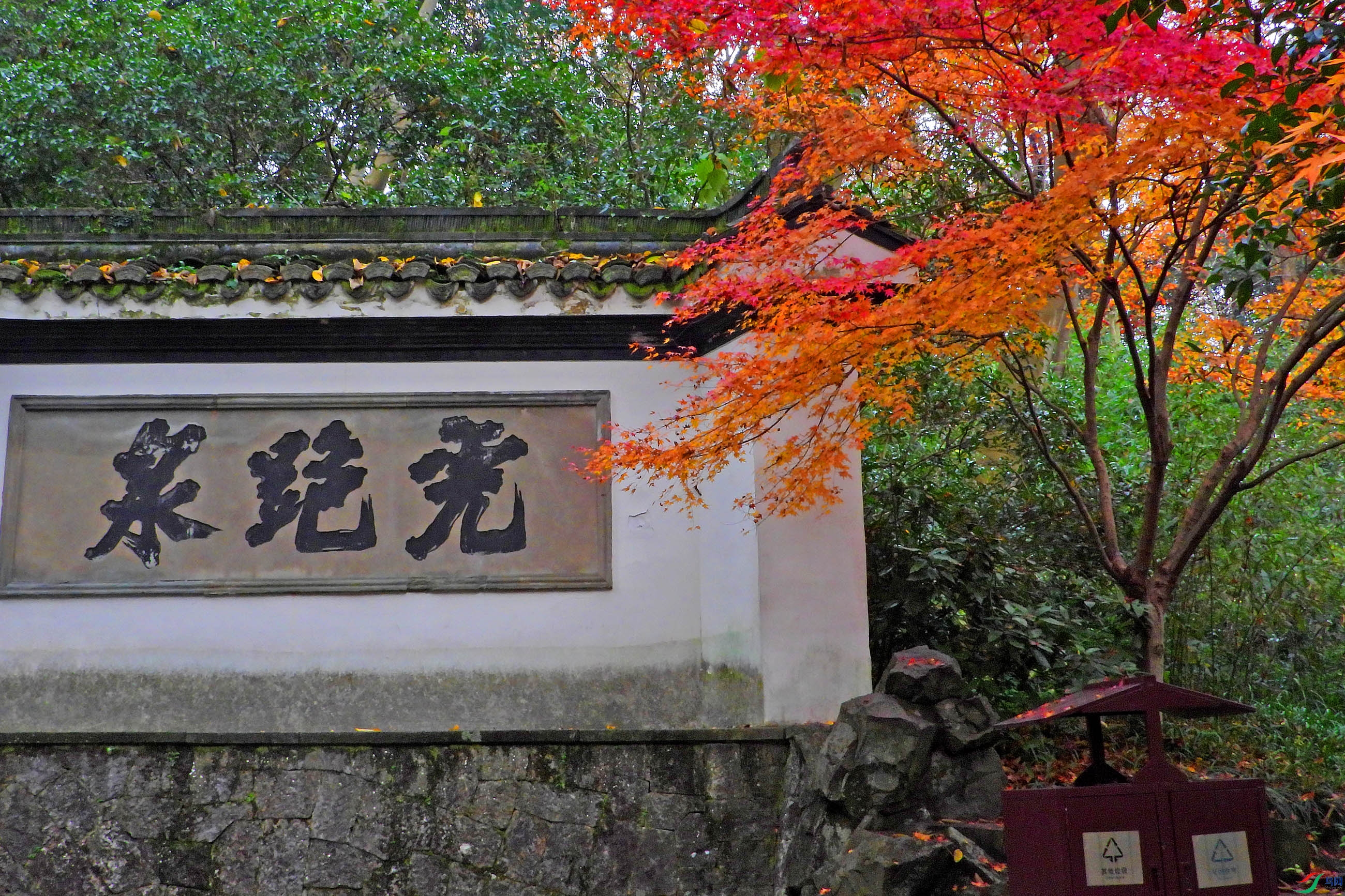 DSCN5021.JPG