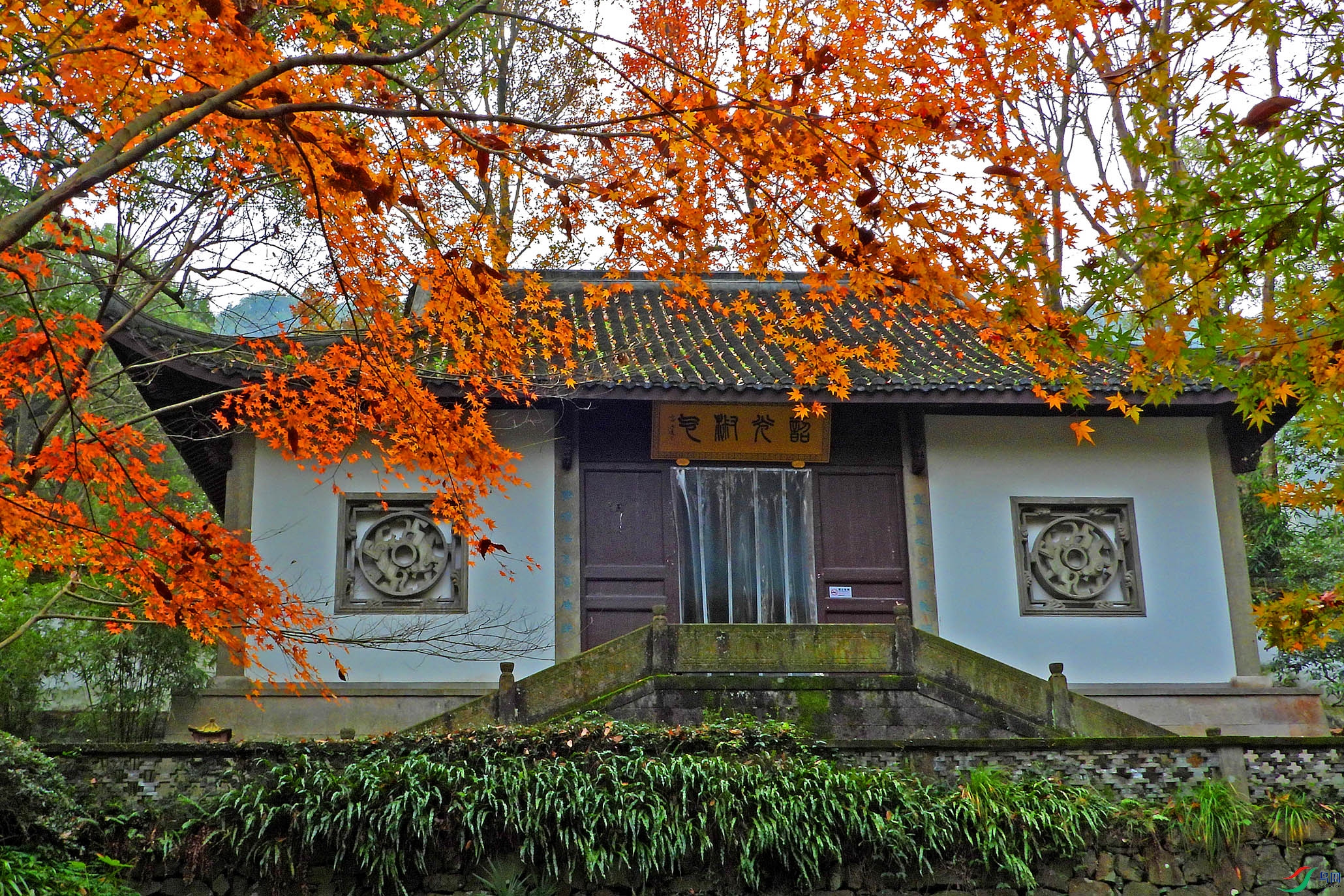 DSCN5023.JPG