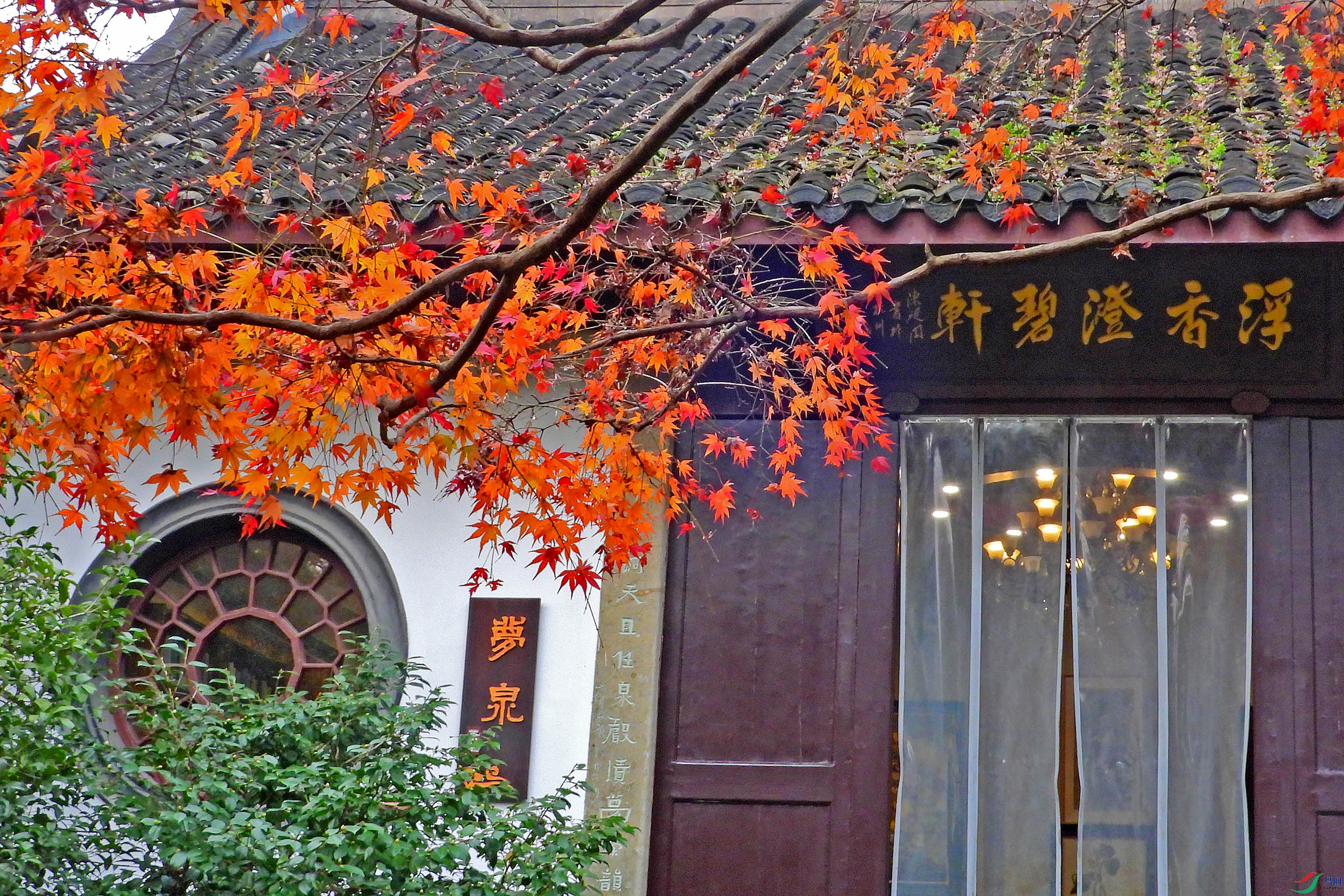 DSCN5050.JPG
