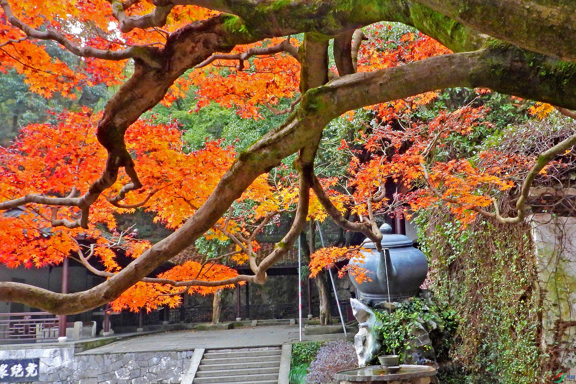 DSCN5044.JPG