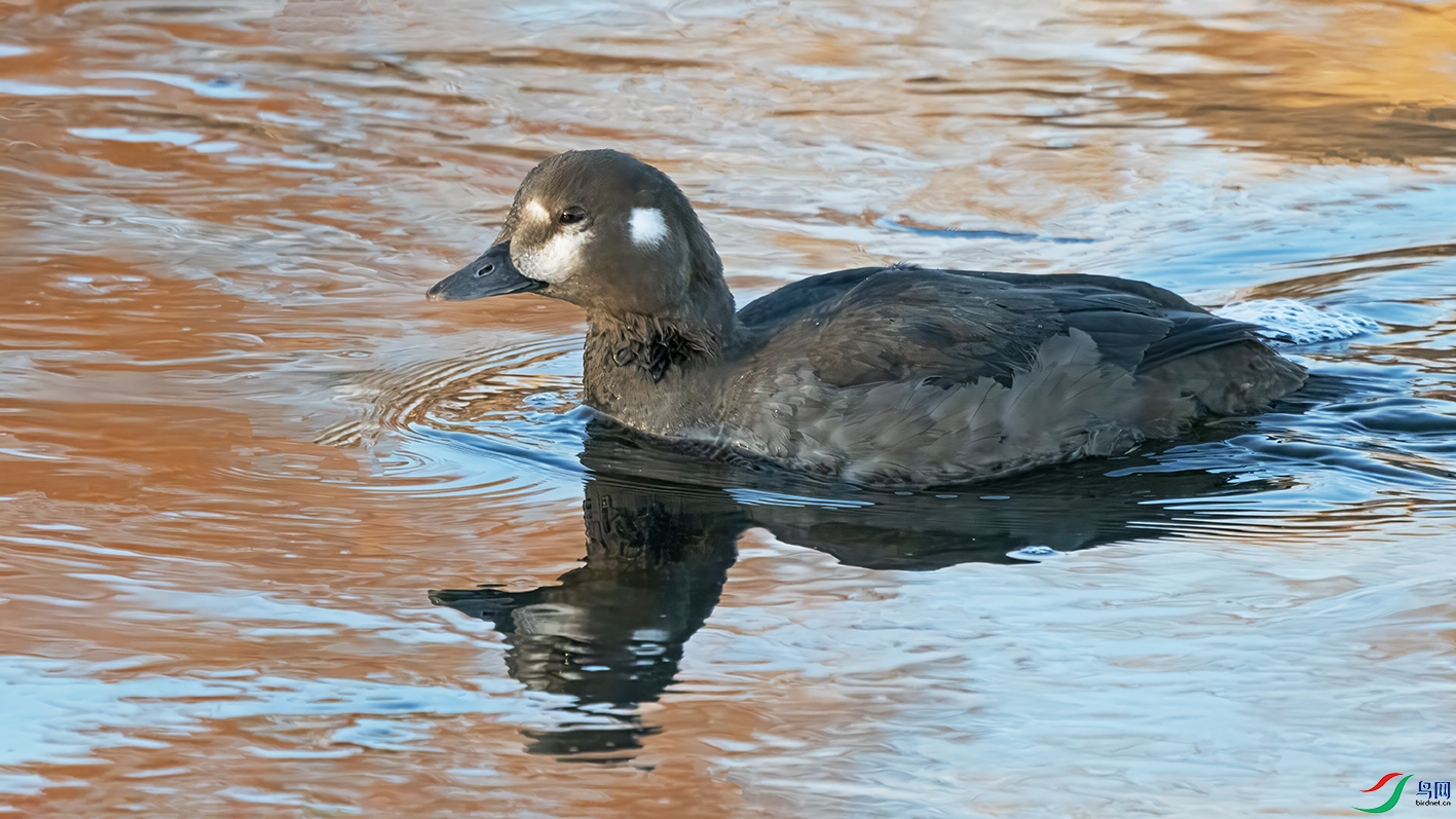 3U2A1910 ���� 2.jpg