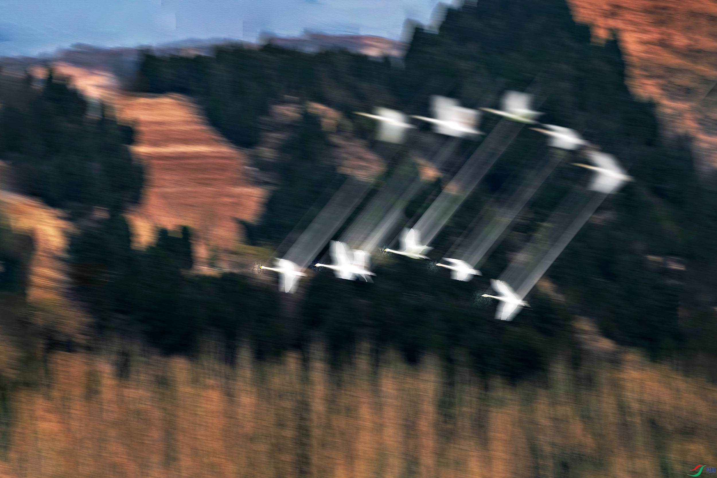 x2.jpg