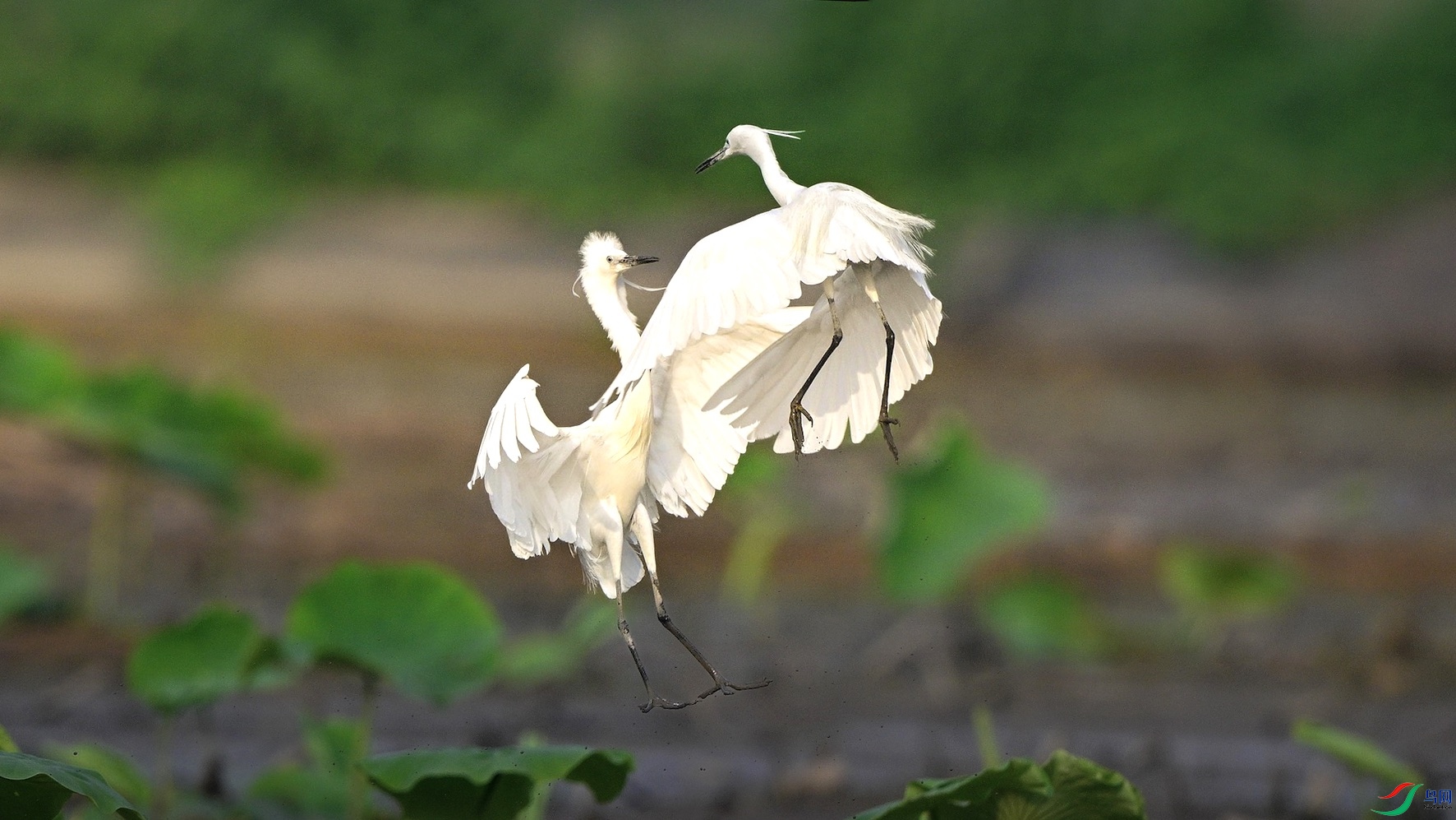 1_XXL5773 ���� 2�ĸ��� ����.jpeg