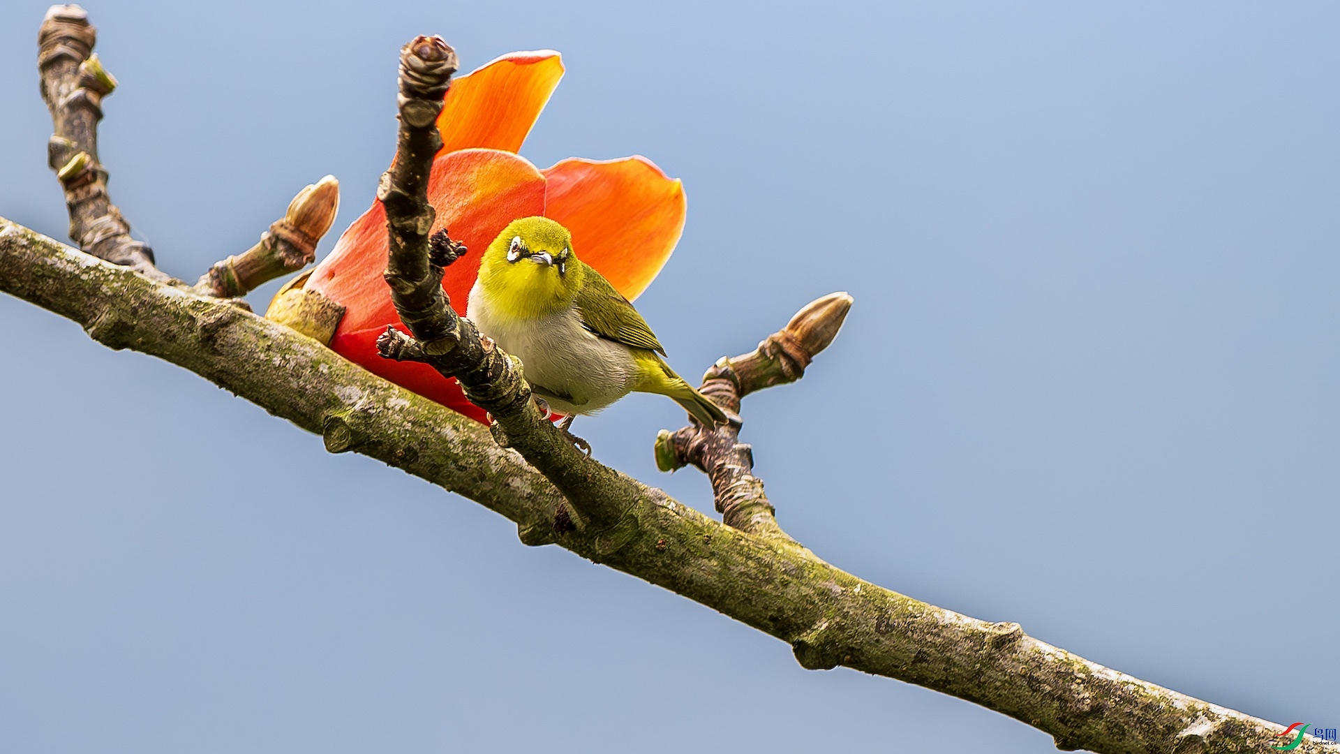 1_XXL5832-����ǿ-NR ����.jpeg