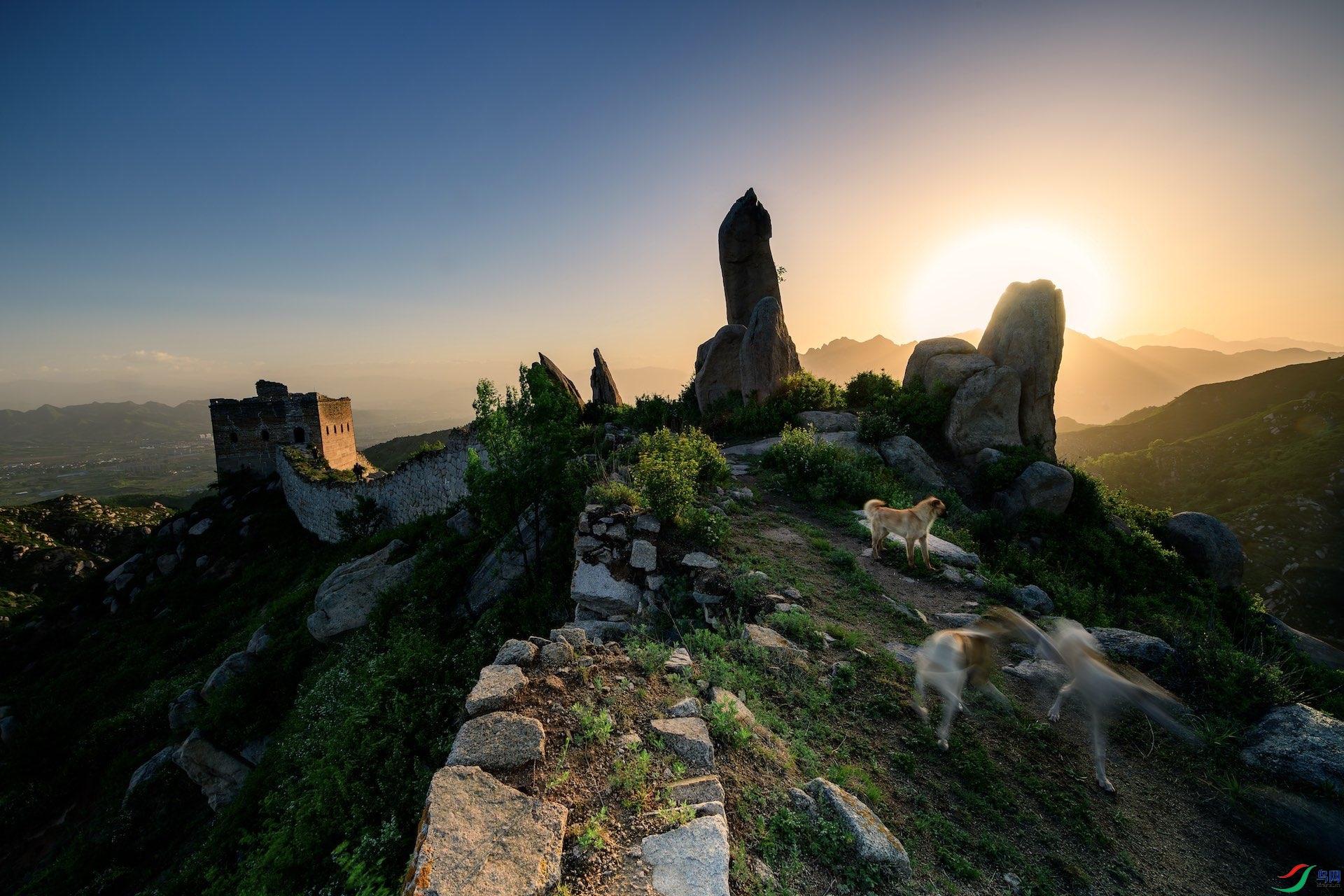 1-2_DSC7621-����ǿ-NR ���� 2.jpeg