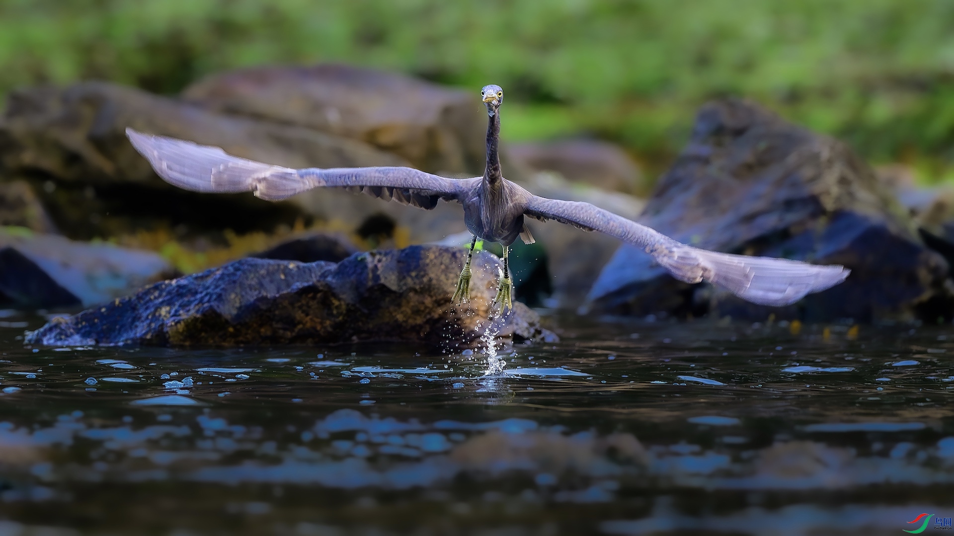 1-2_XXL4010-����ǿ-NR ����.jpeg