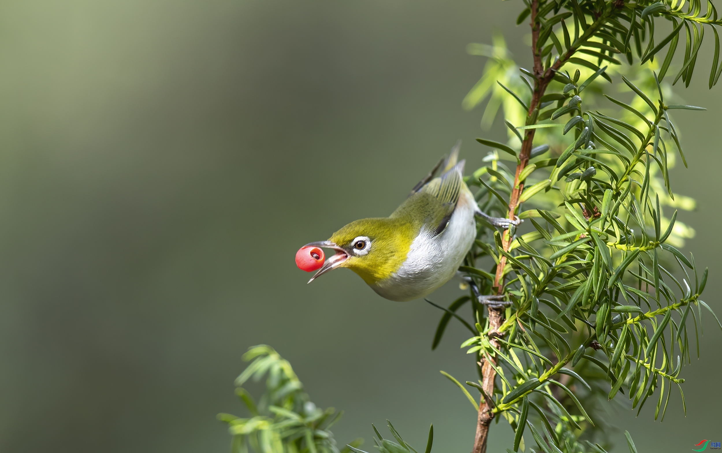 ÿ�ռ��� ��ζ  ���� ����  ����.jpg