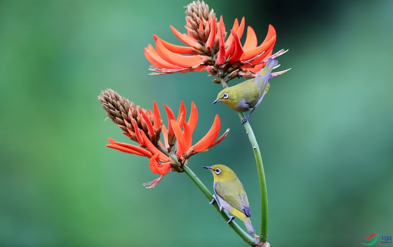 ���� IMGL7638.JPG