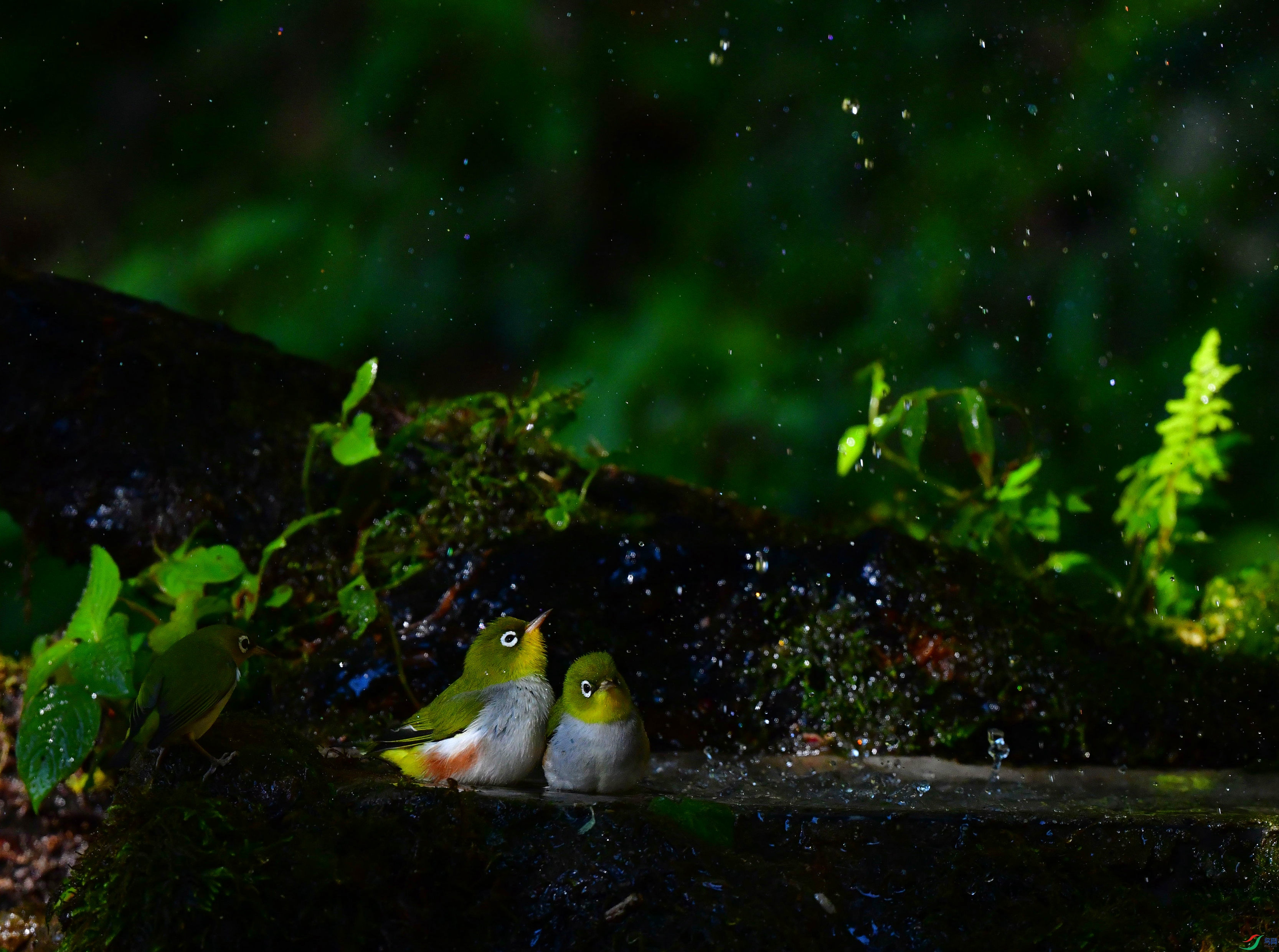DSC_3655_��ͼ��_����.jpg