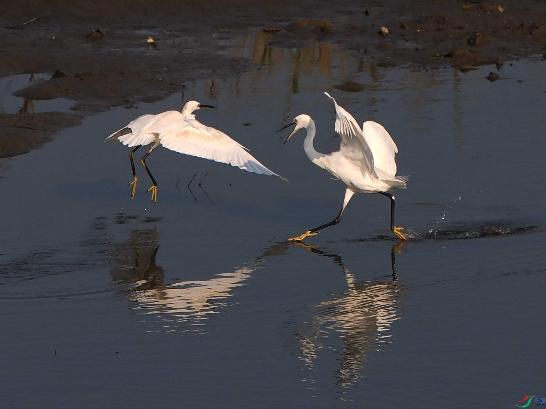 �������� (17).JPG